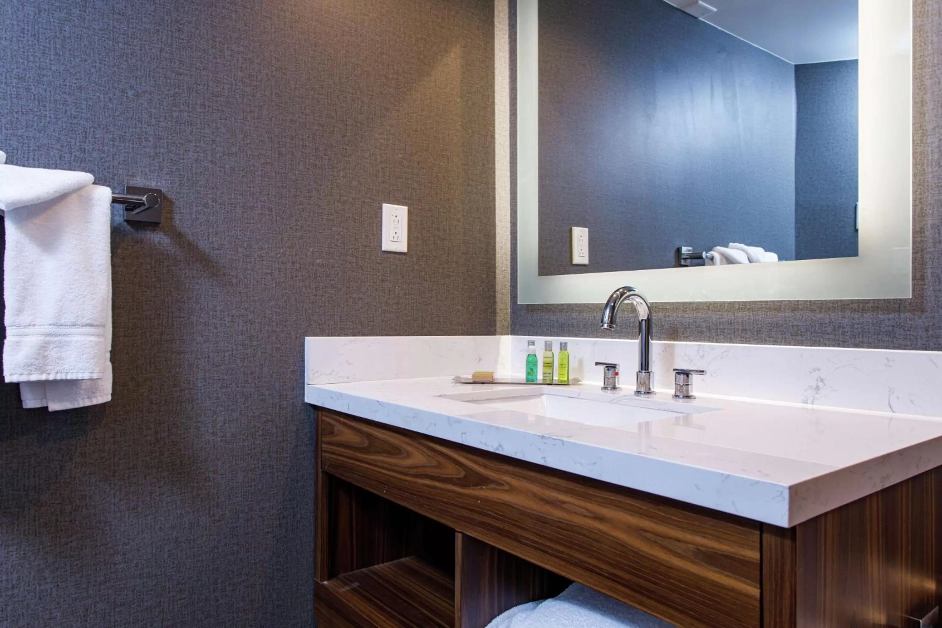 Bathroom in DoubleTree by Hilton Appleton, WI