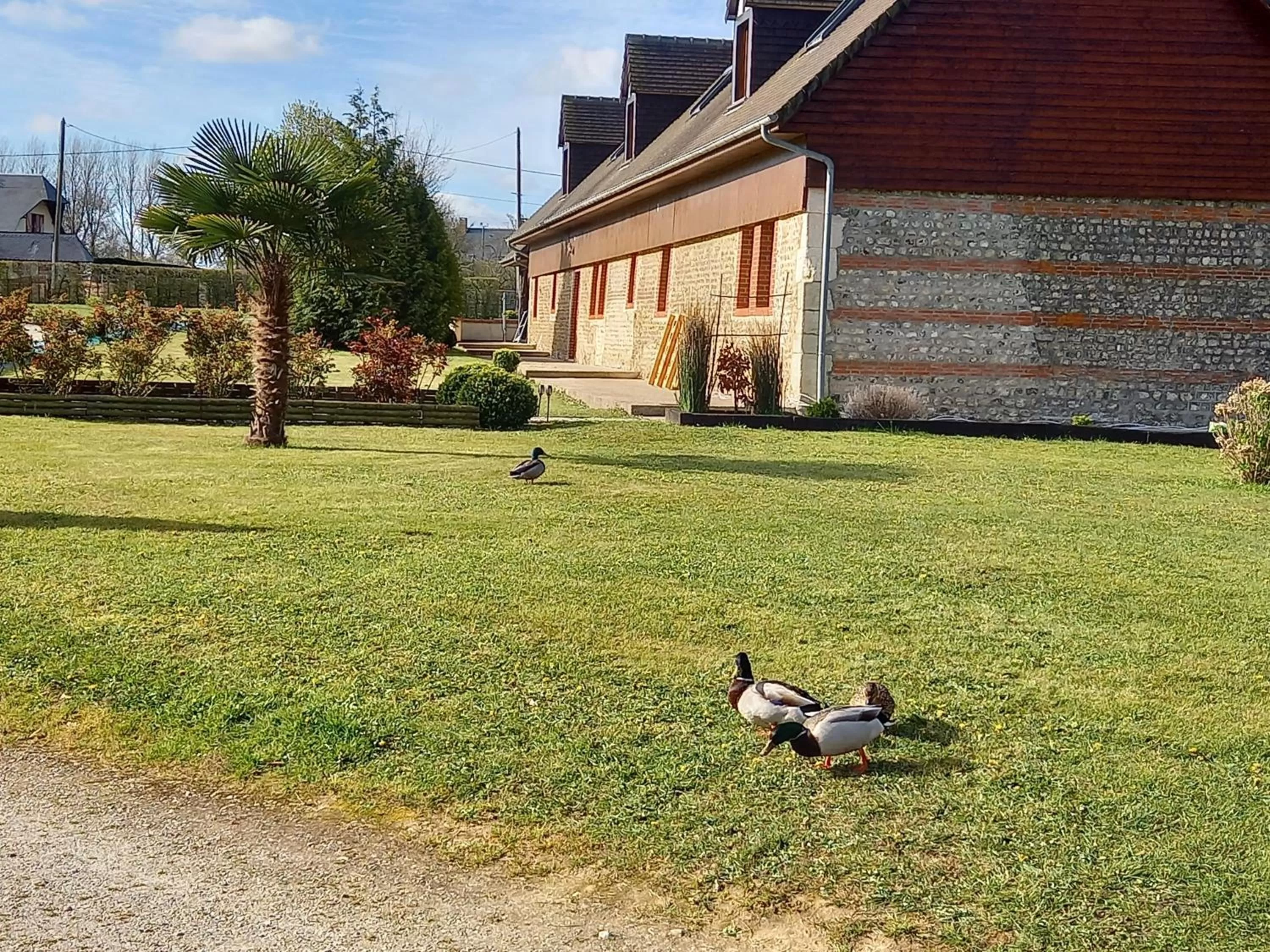 Property building in chambres et gites d'étretat