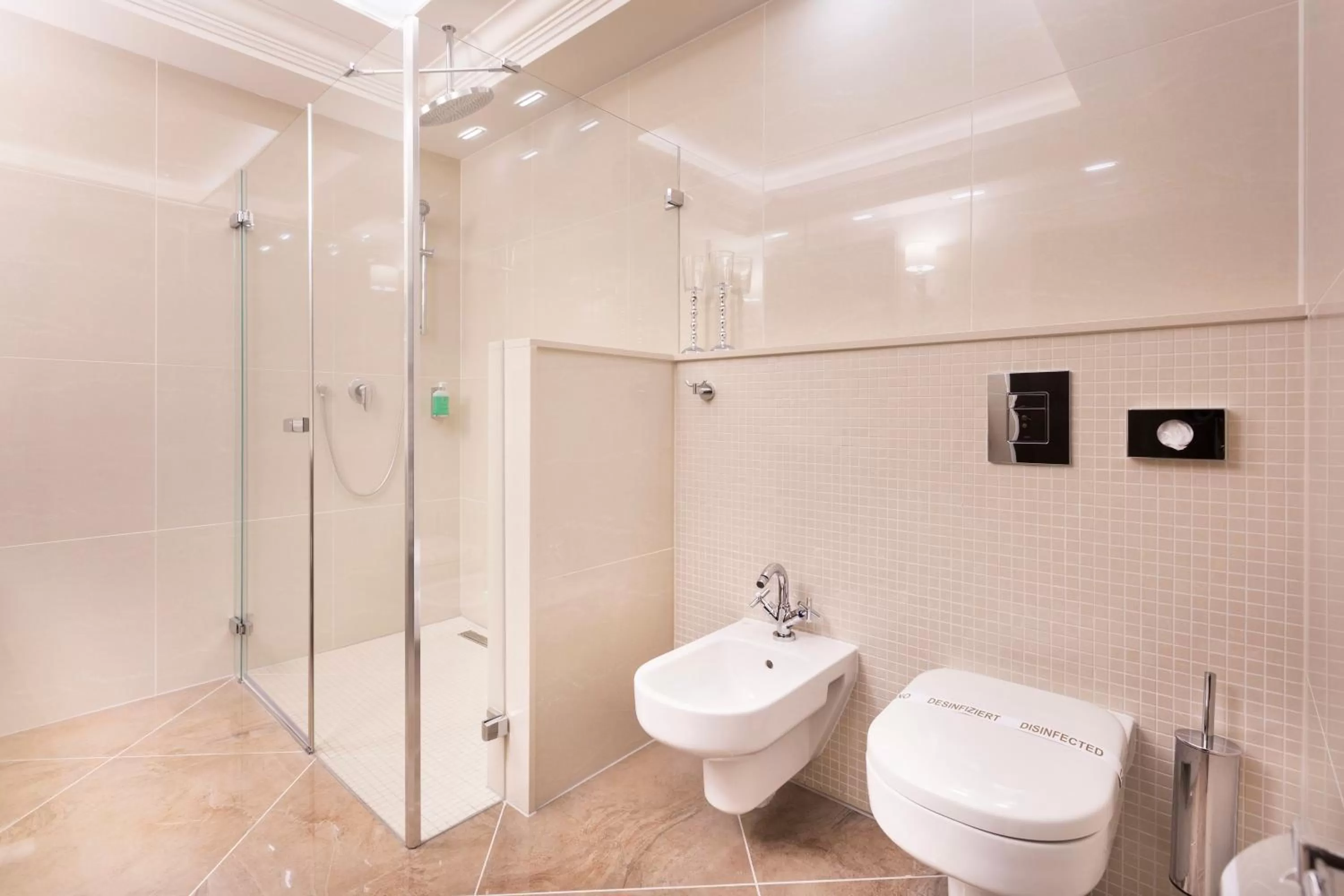 Single Room in Hotel Dvorana