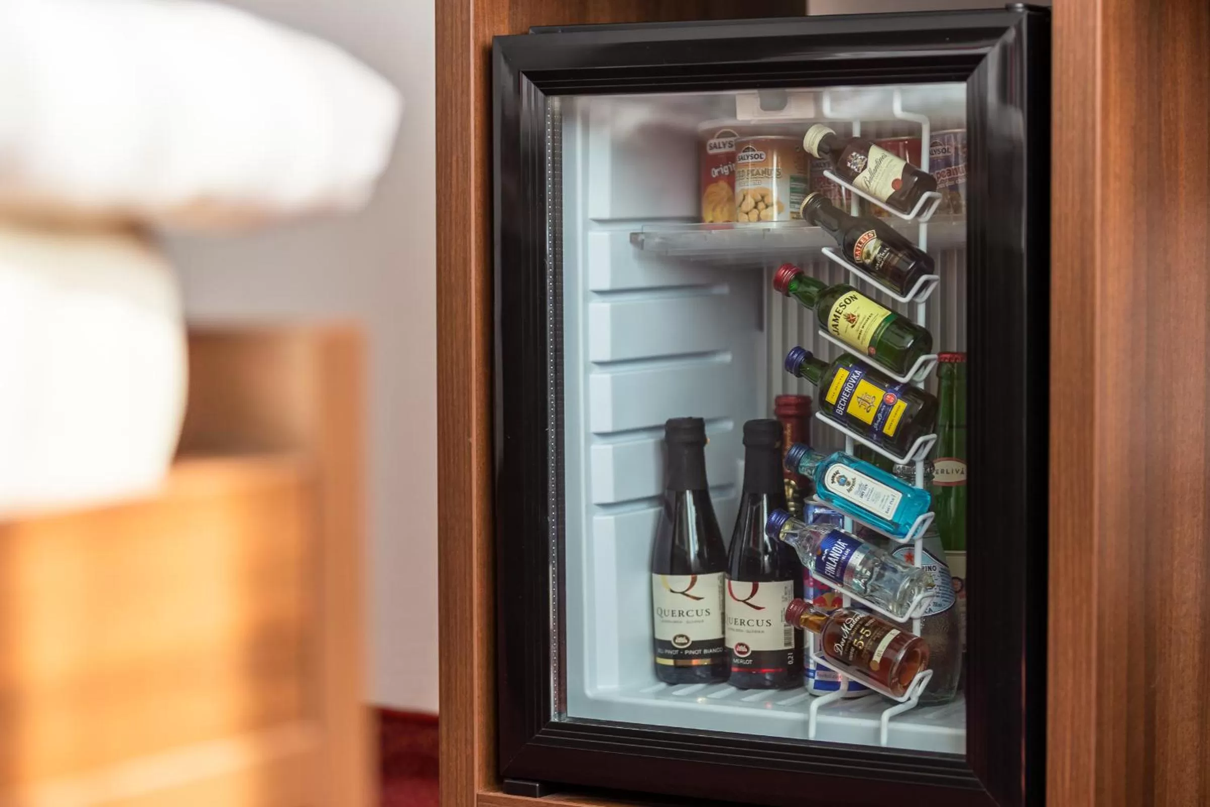 oven in Bohemia Inn Hotel