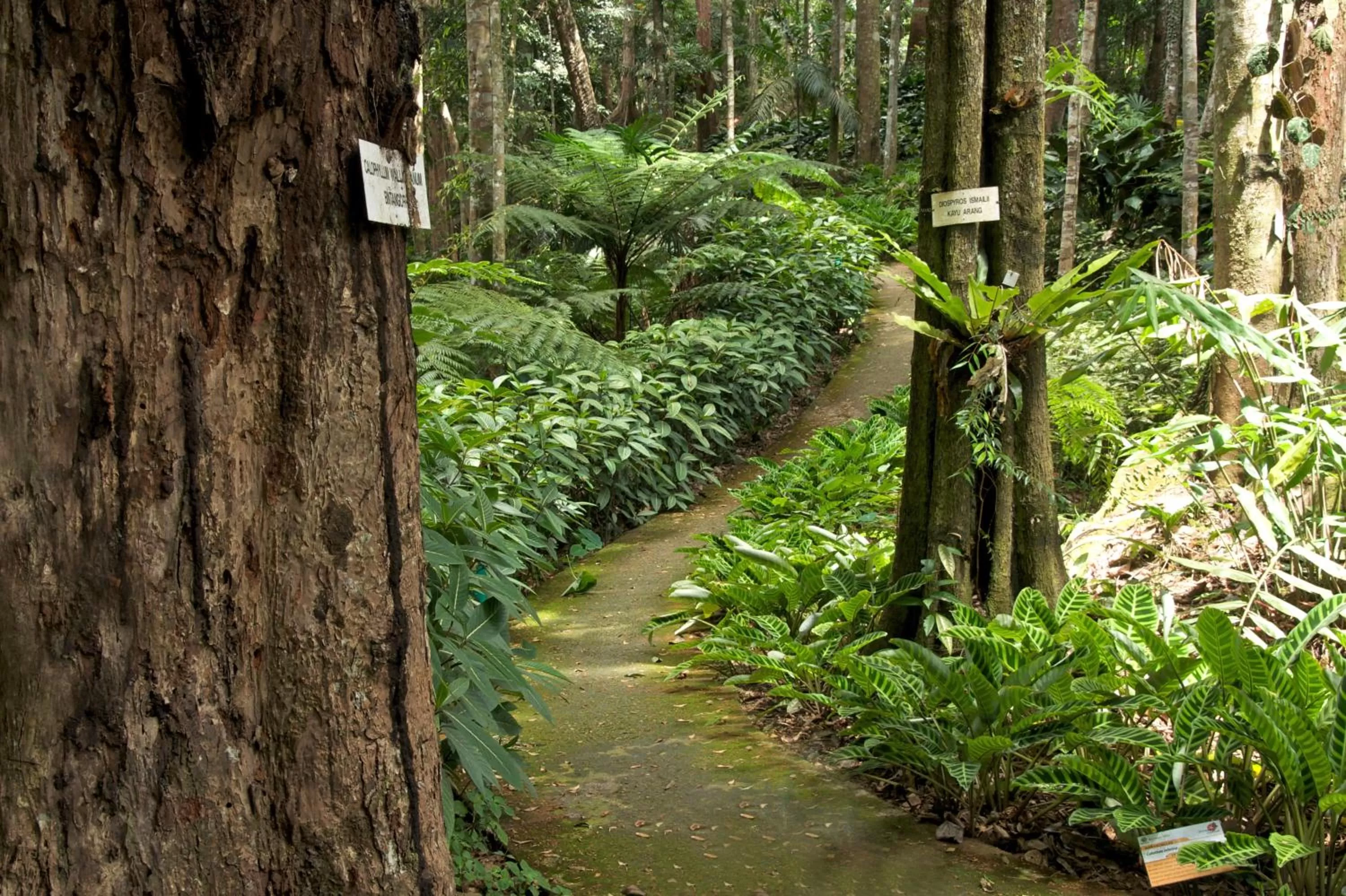 Area and facilities in Colmar Tropicale