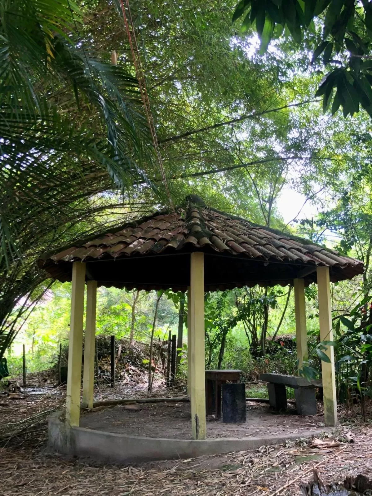 Day in Pousada Aba da Serra