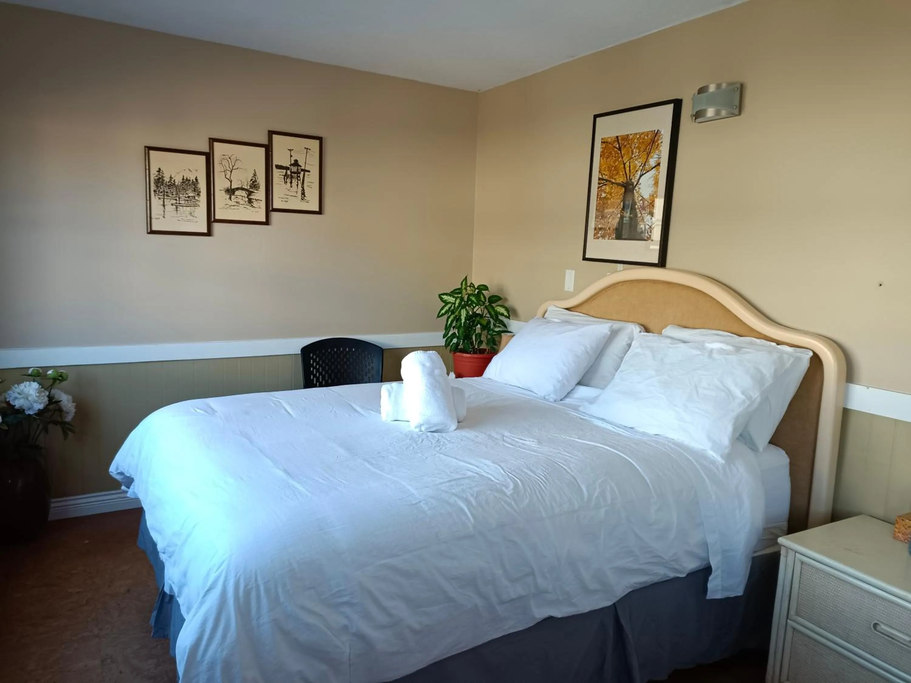 Bedroom in Painted Turtle Guesthouse
