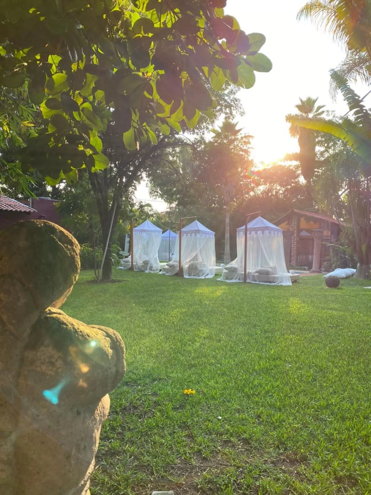 Garden in ETNICO LOCAL HOUSE