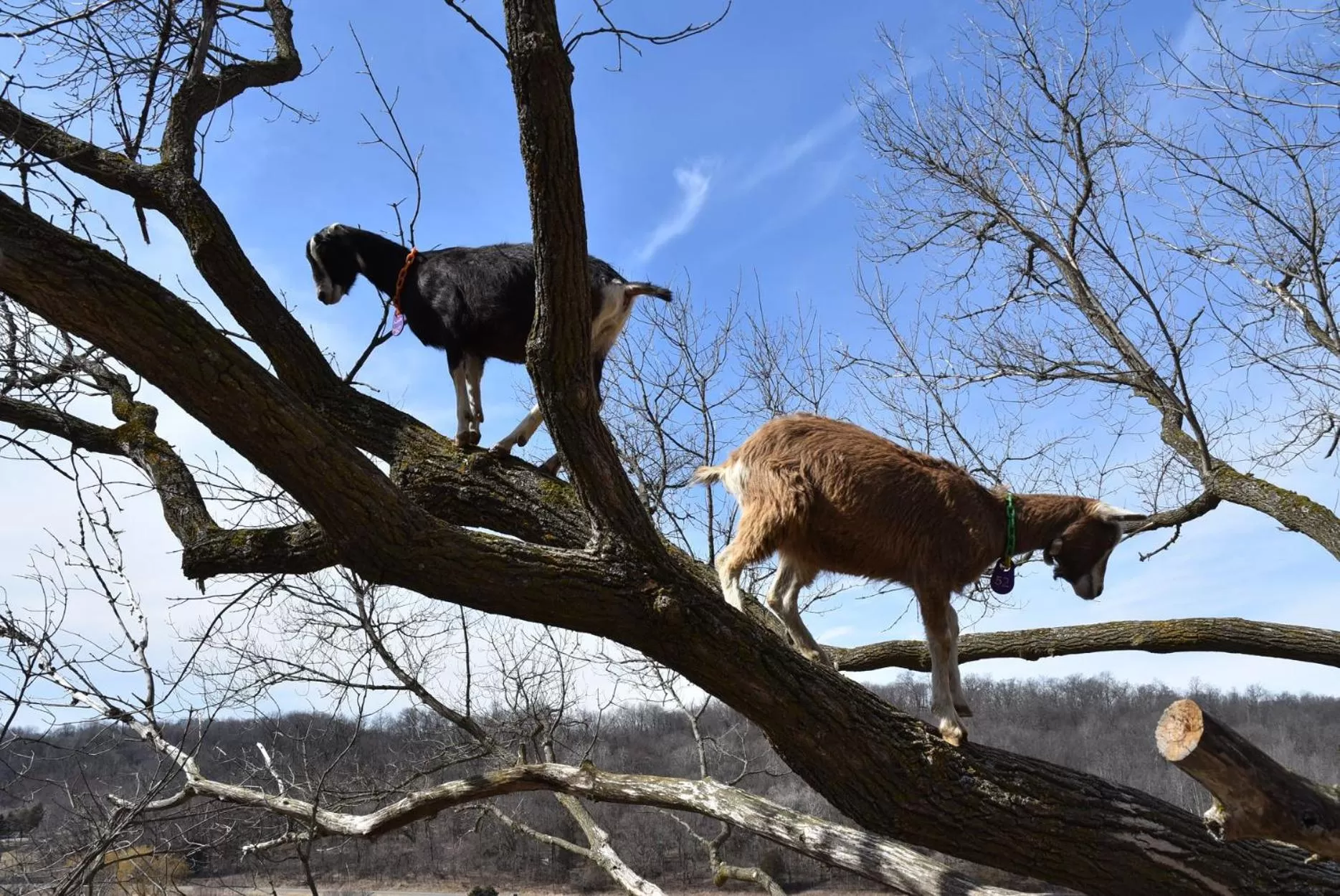 View (from property/room) in Rainbow Ridge Farms