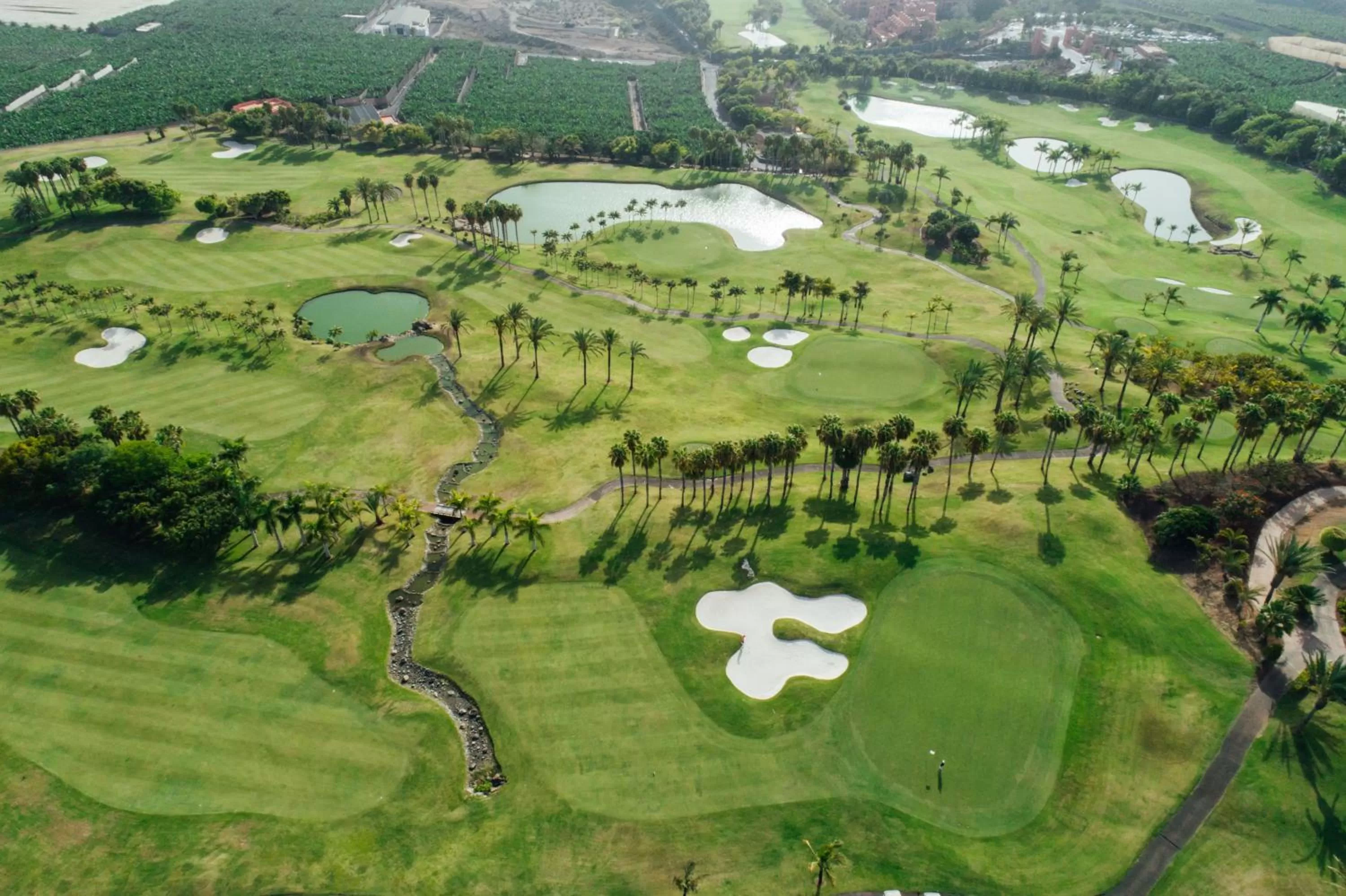 Golfcourse in Las Terrazas de Abama Suites
