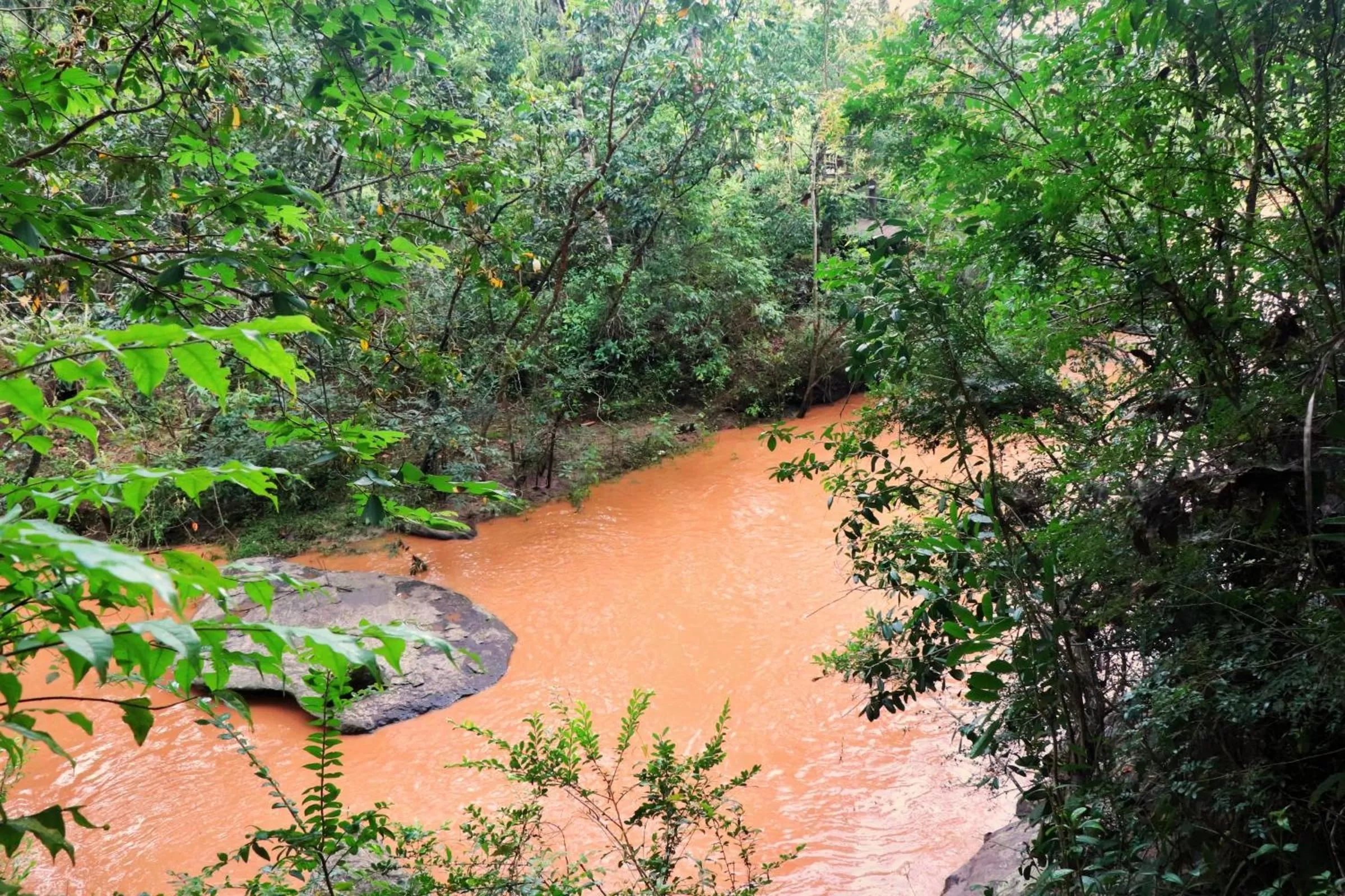 Natural landscape in Pousada Santa Thereza
