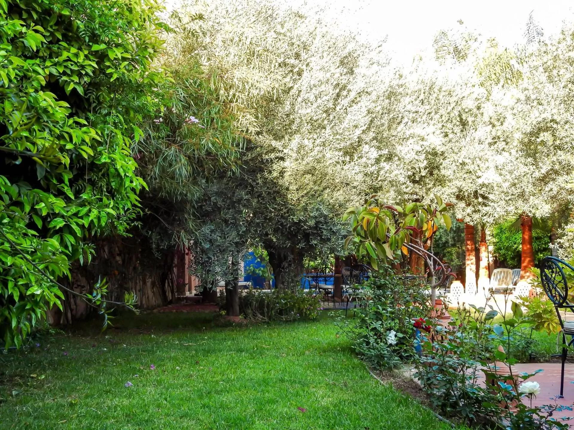 Garden in Le Bleu House