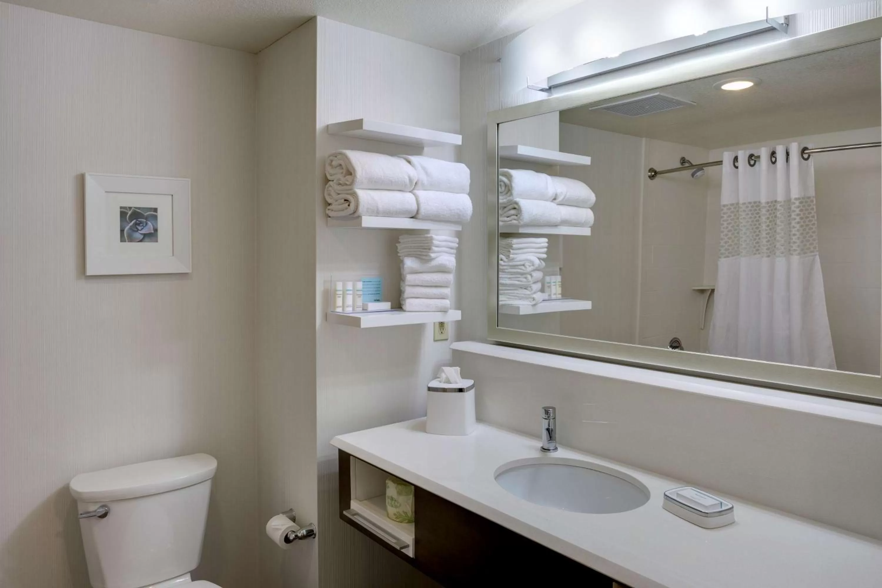 Bathroom in Hampton Inn & Suites Blythe, CA