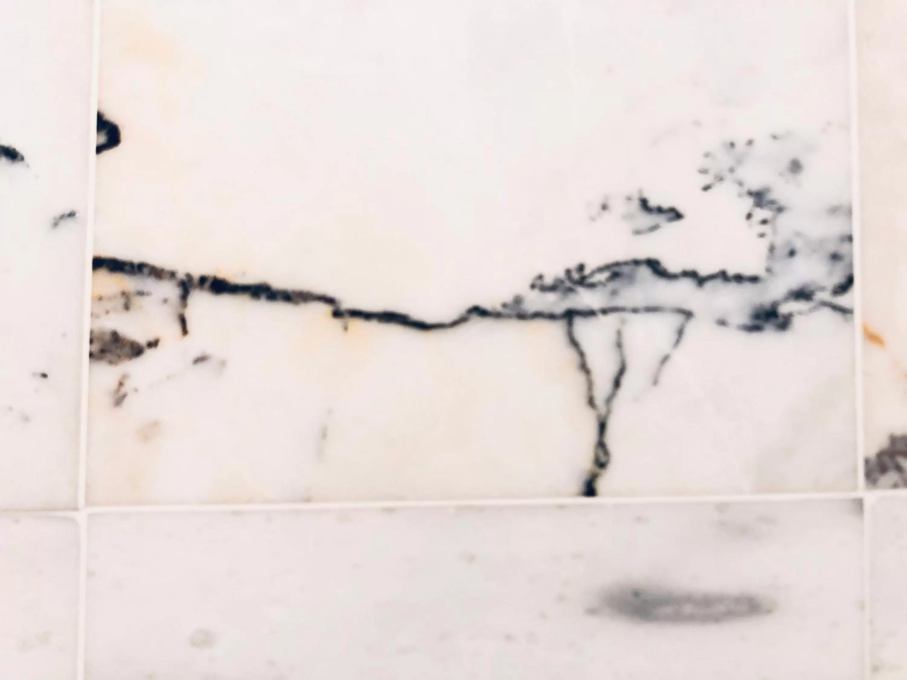 Northern Lights Mansion