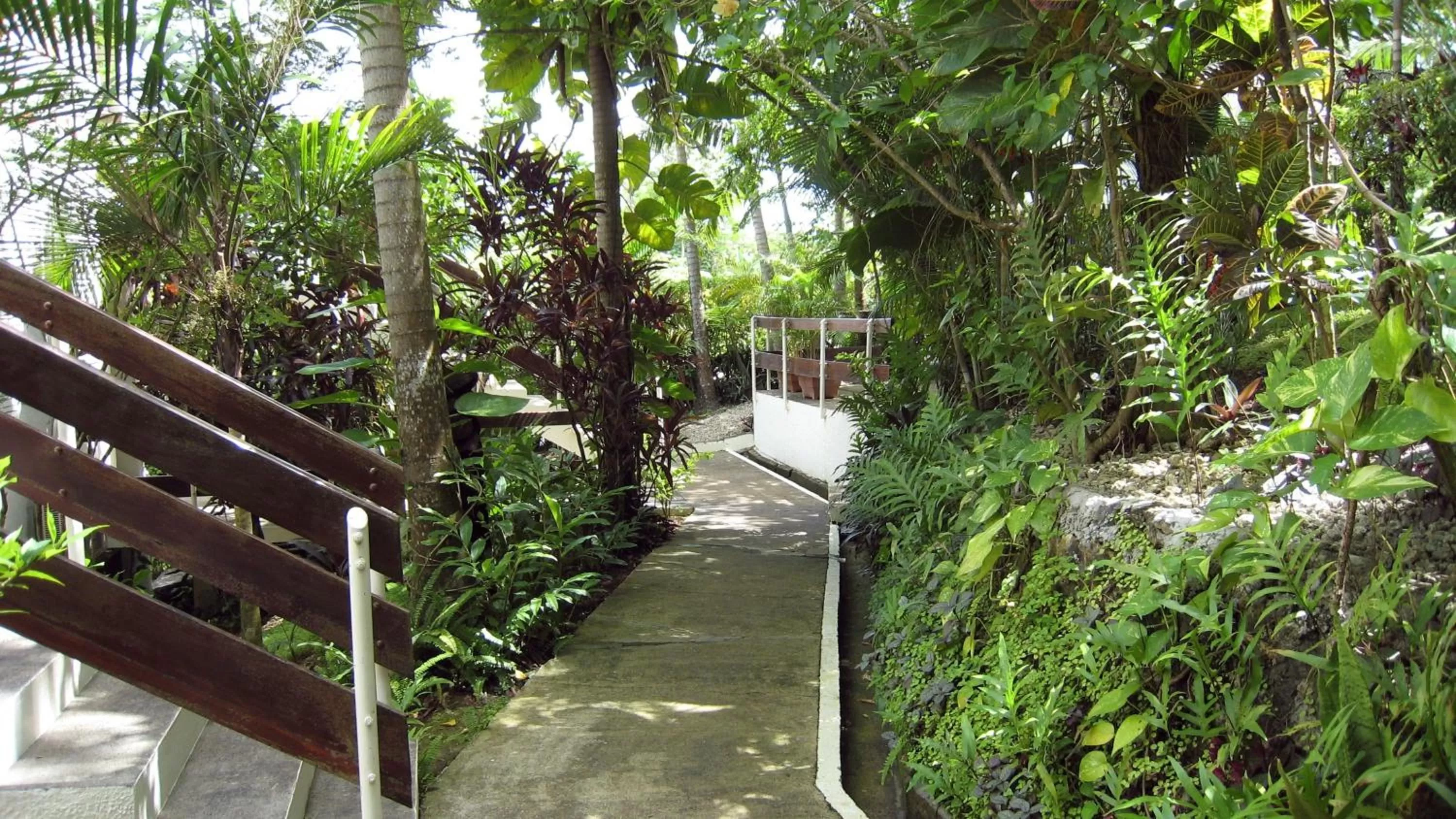 Garden in Coral Motel & Apartments