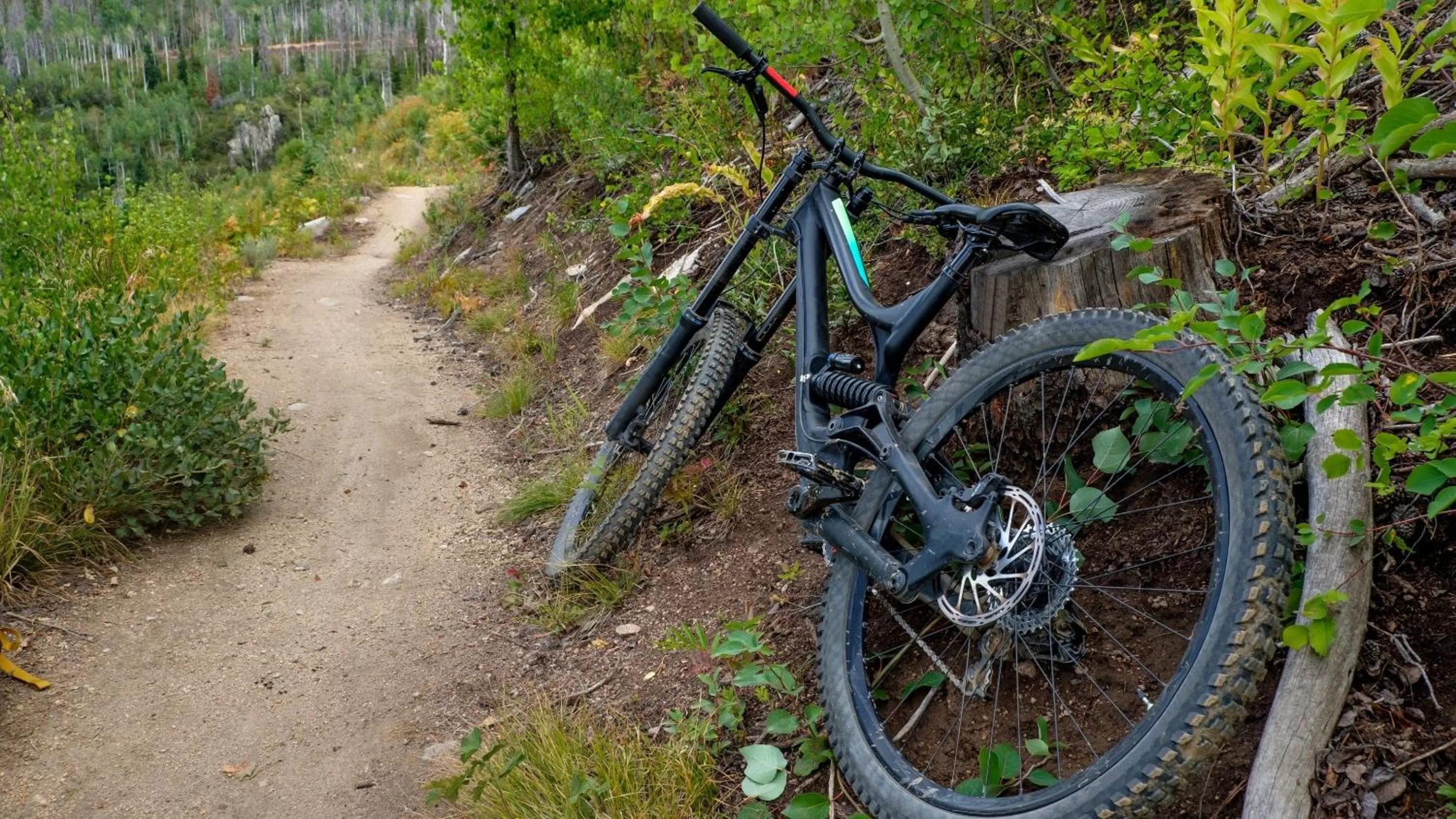 Activities in La Quinta Inn by Wyndham Steamboat Springs