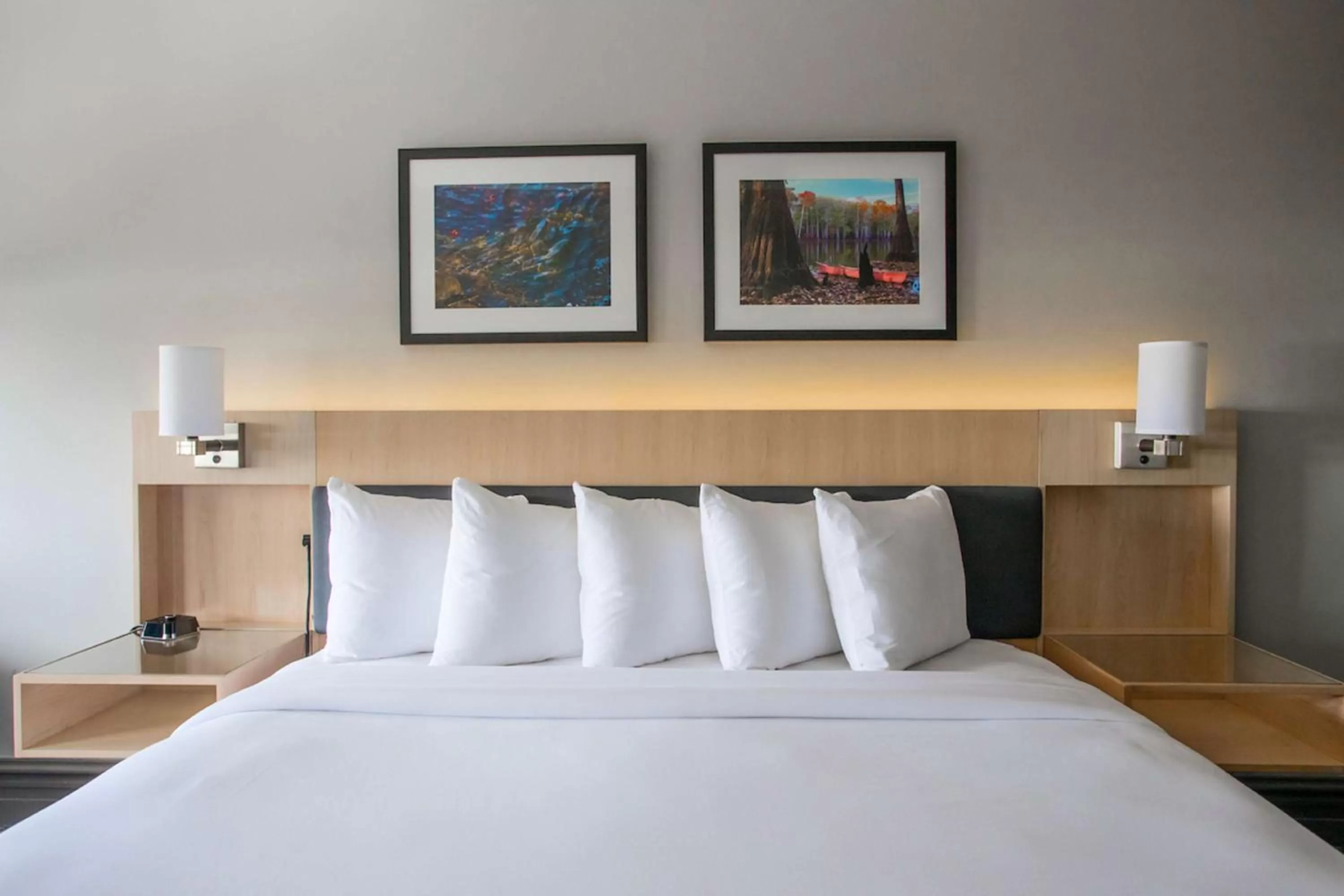 Bed in The Waters Hot Springs, Tapestry Collection by Hilton