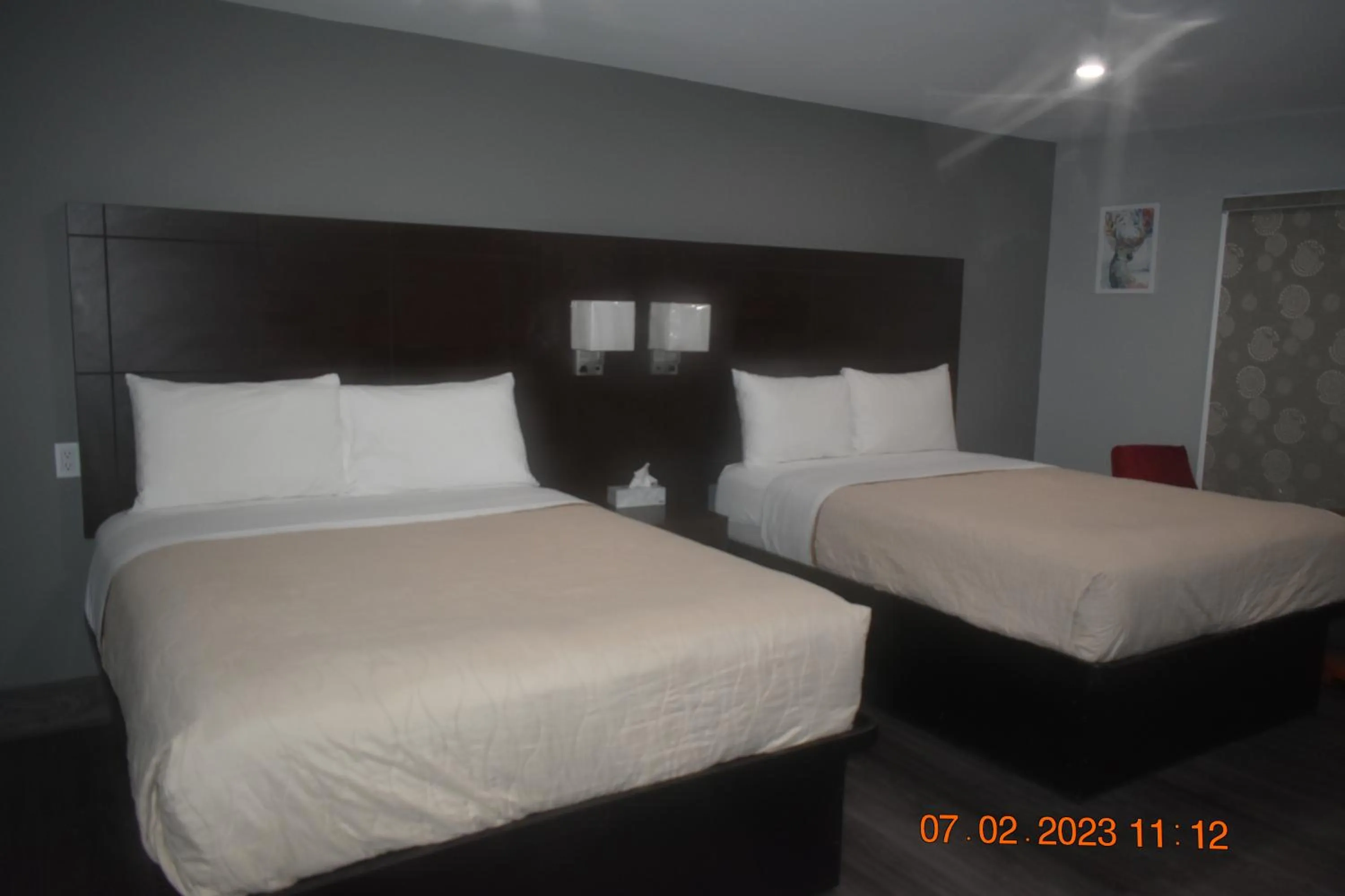 Bed in Time Travellers Motel