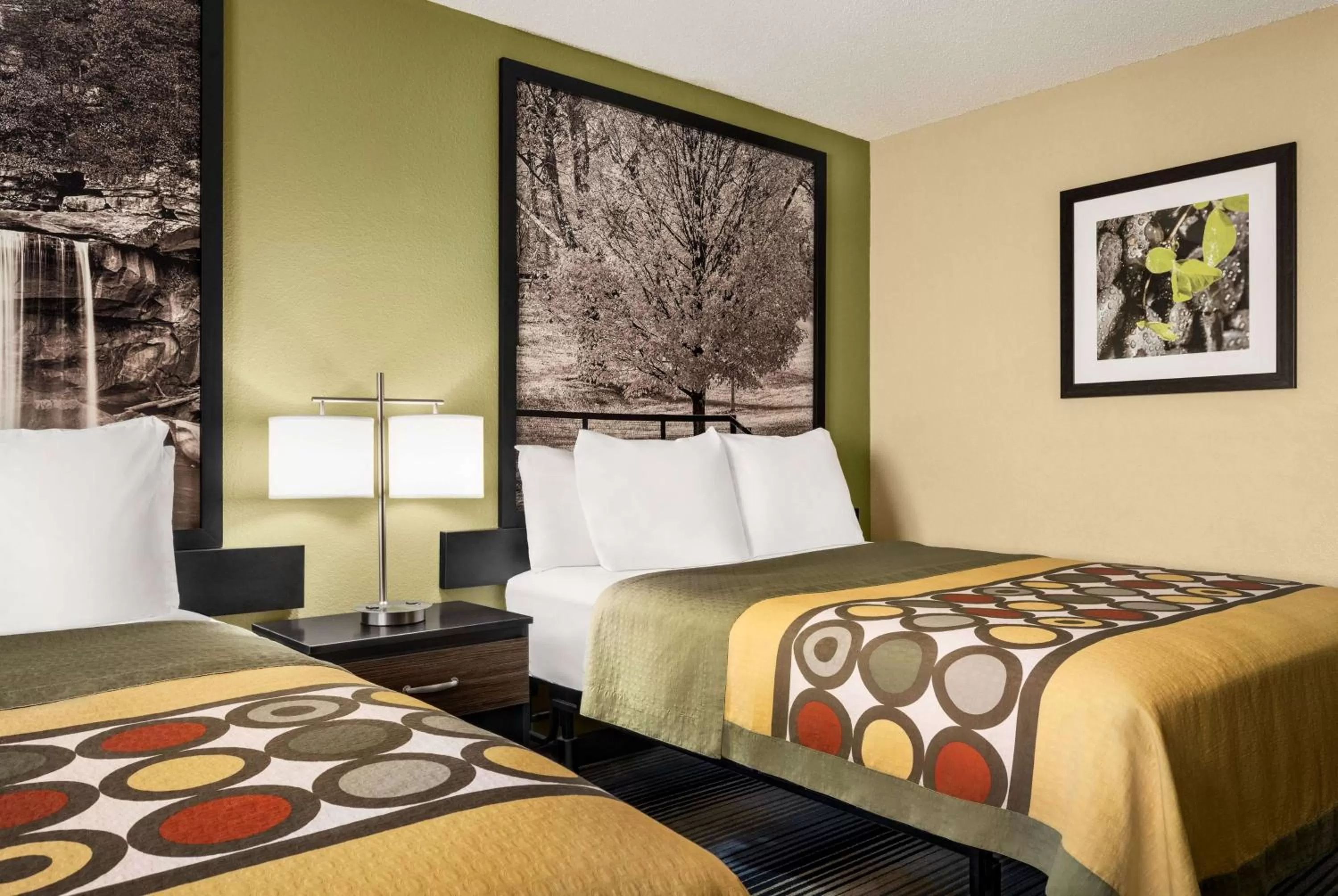 Bed in Super 8 by Wyndham Maysville KY