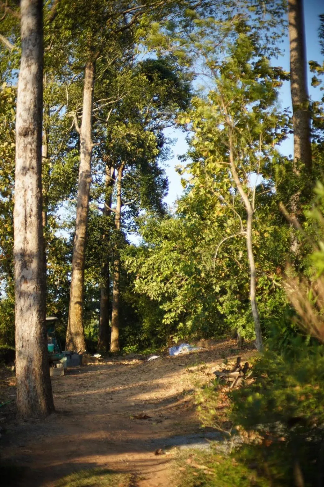 Natural landscape in Villa Panalai