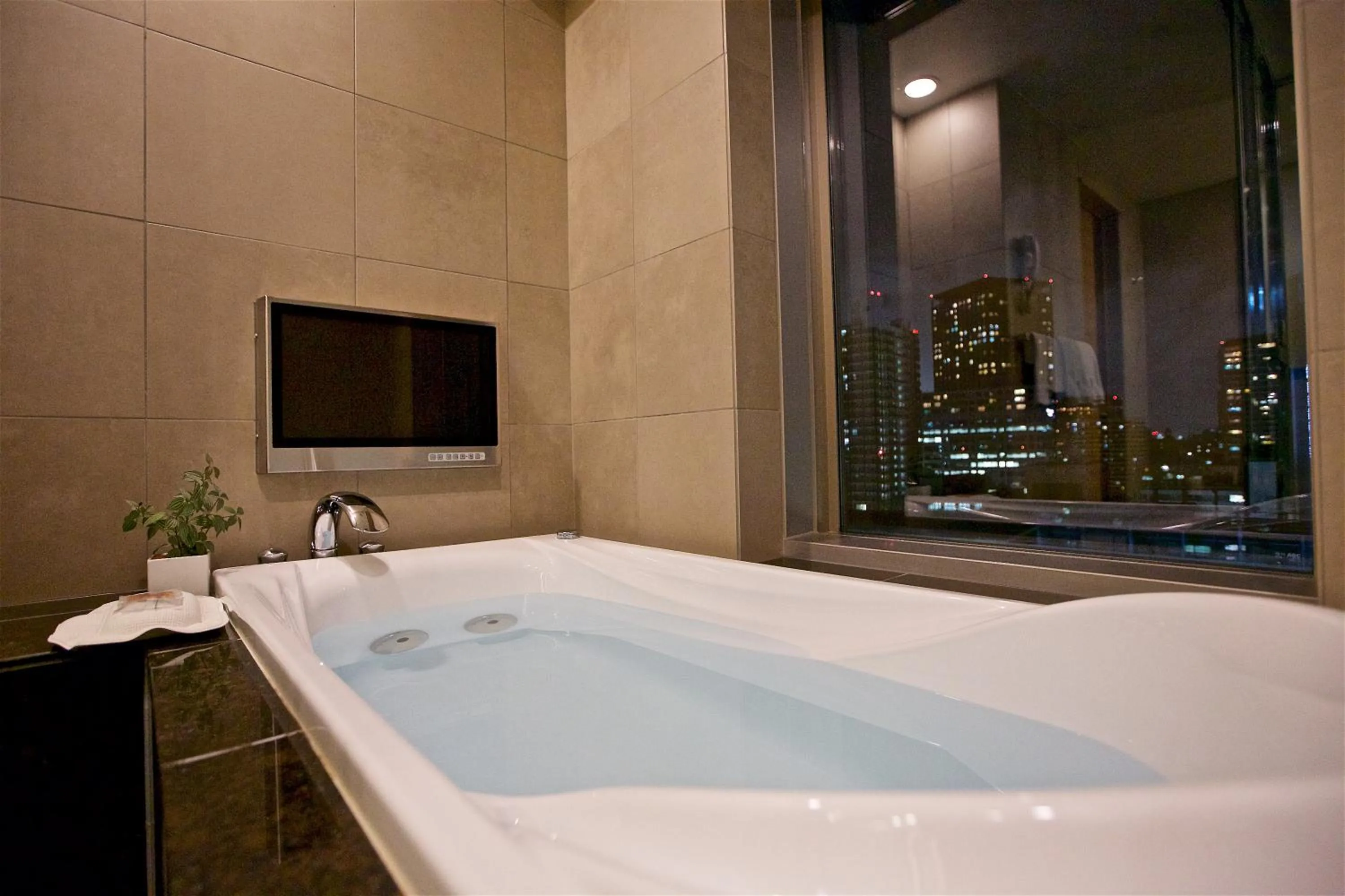 View (from property/room) in Hotel Niwa Tokyo