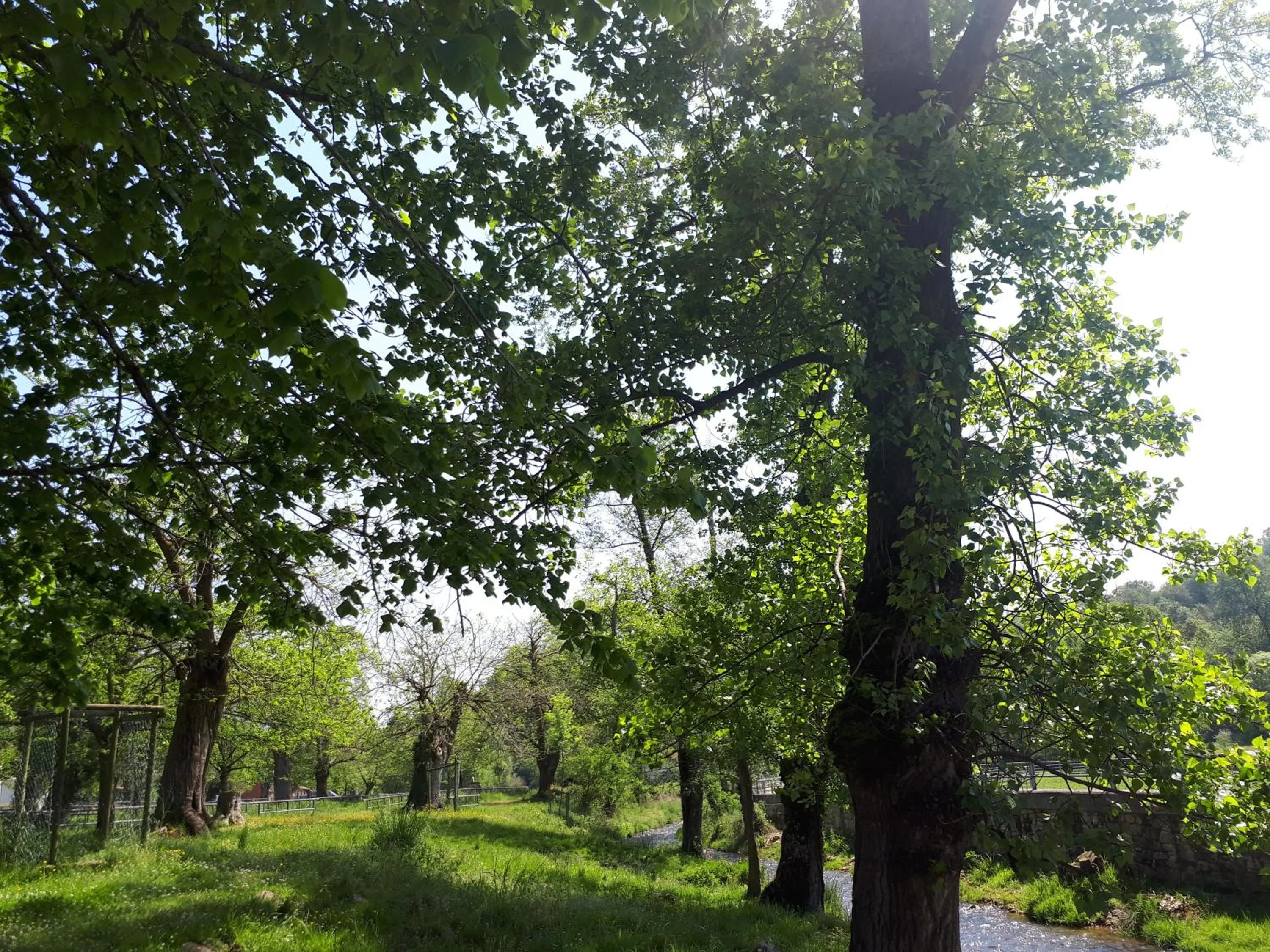 Natural landscape in Hotel Rural Entremontes