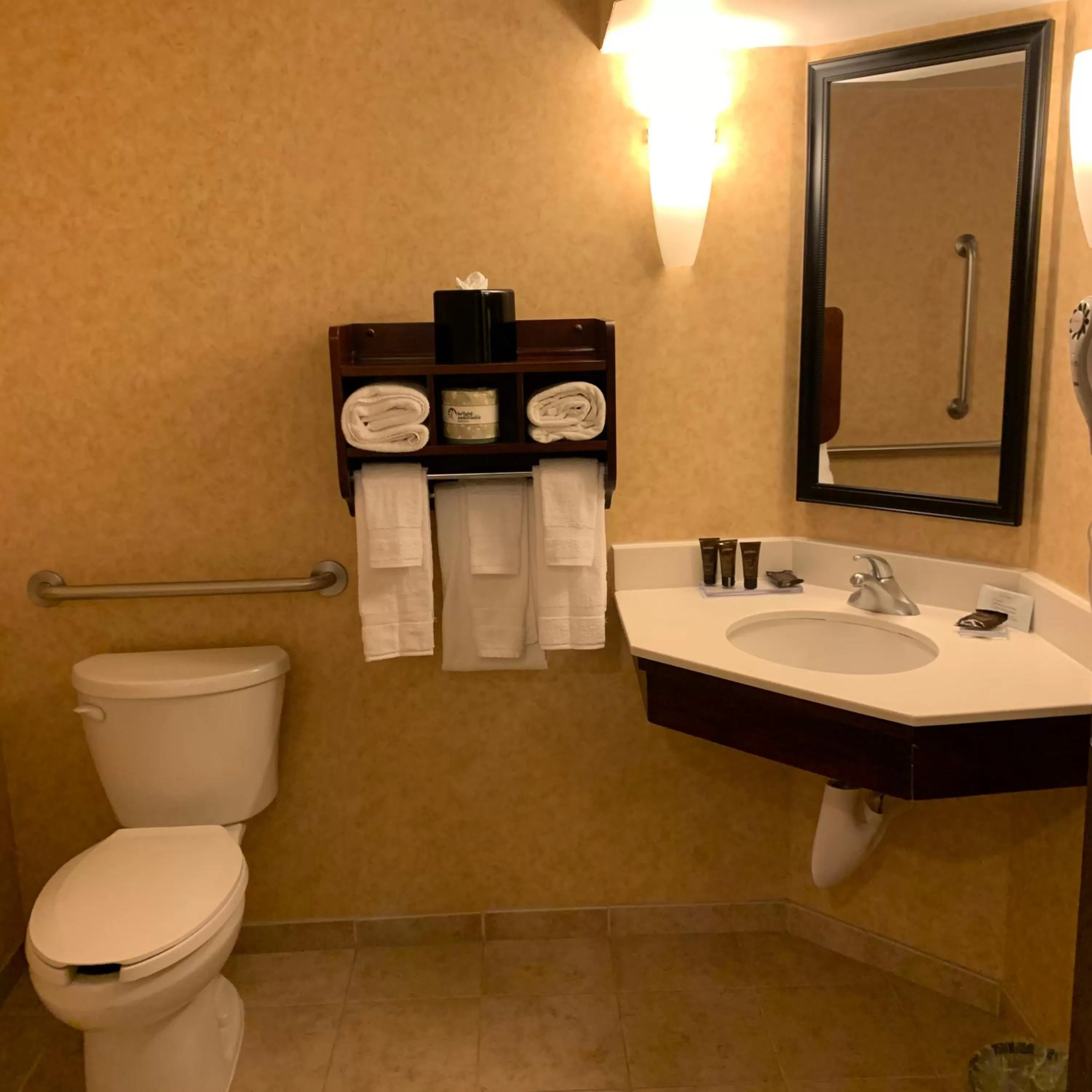 King Room - Disability Access in Spark by Hilton Colorado Springs I 25 Central