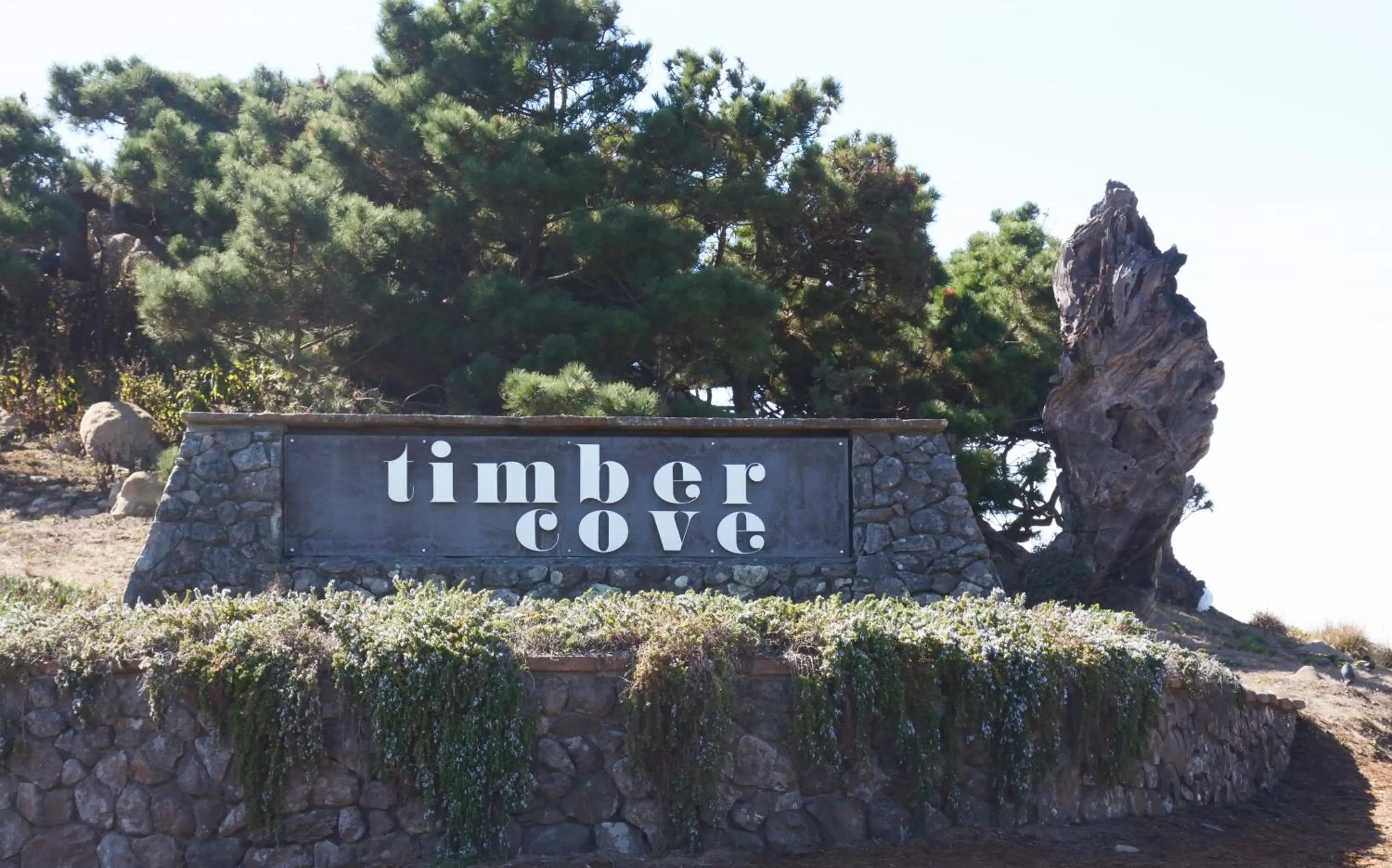 Day in Timber Cove Resort