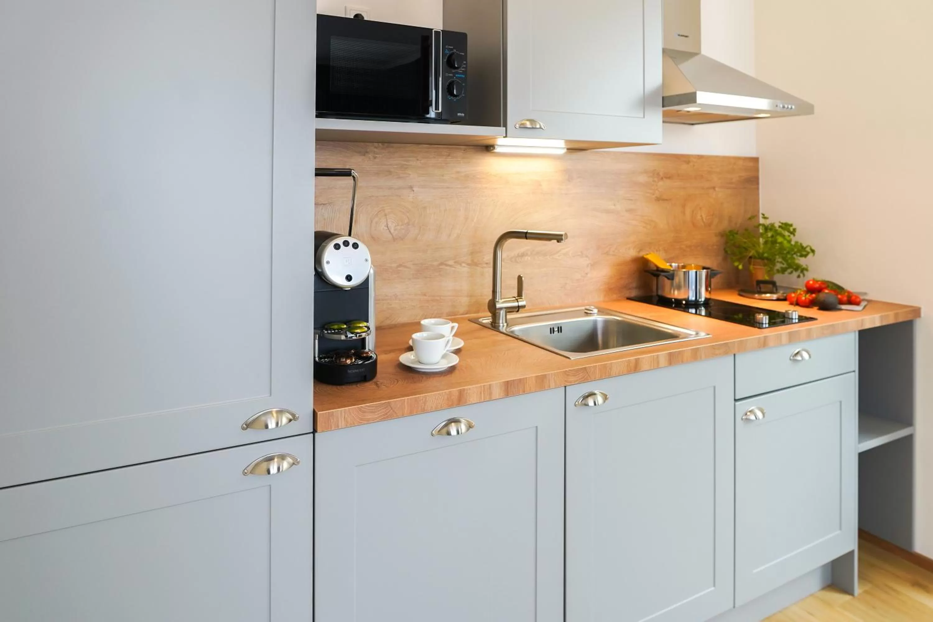 Kitchen or kitchenette in Citadines South Vienna