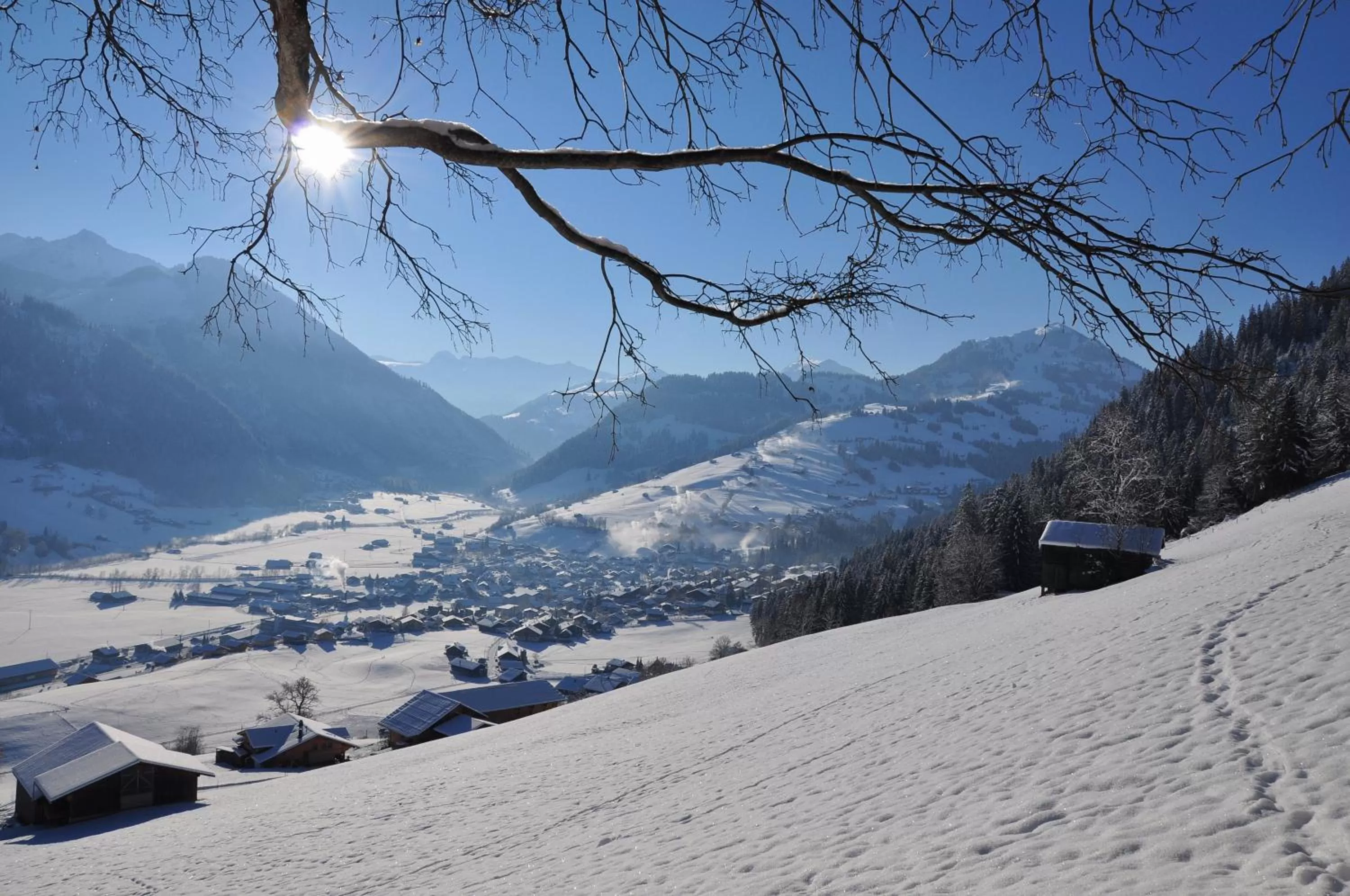 Area and facilities in Sonnegg Hotel