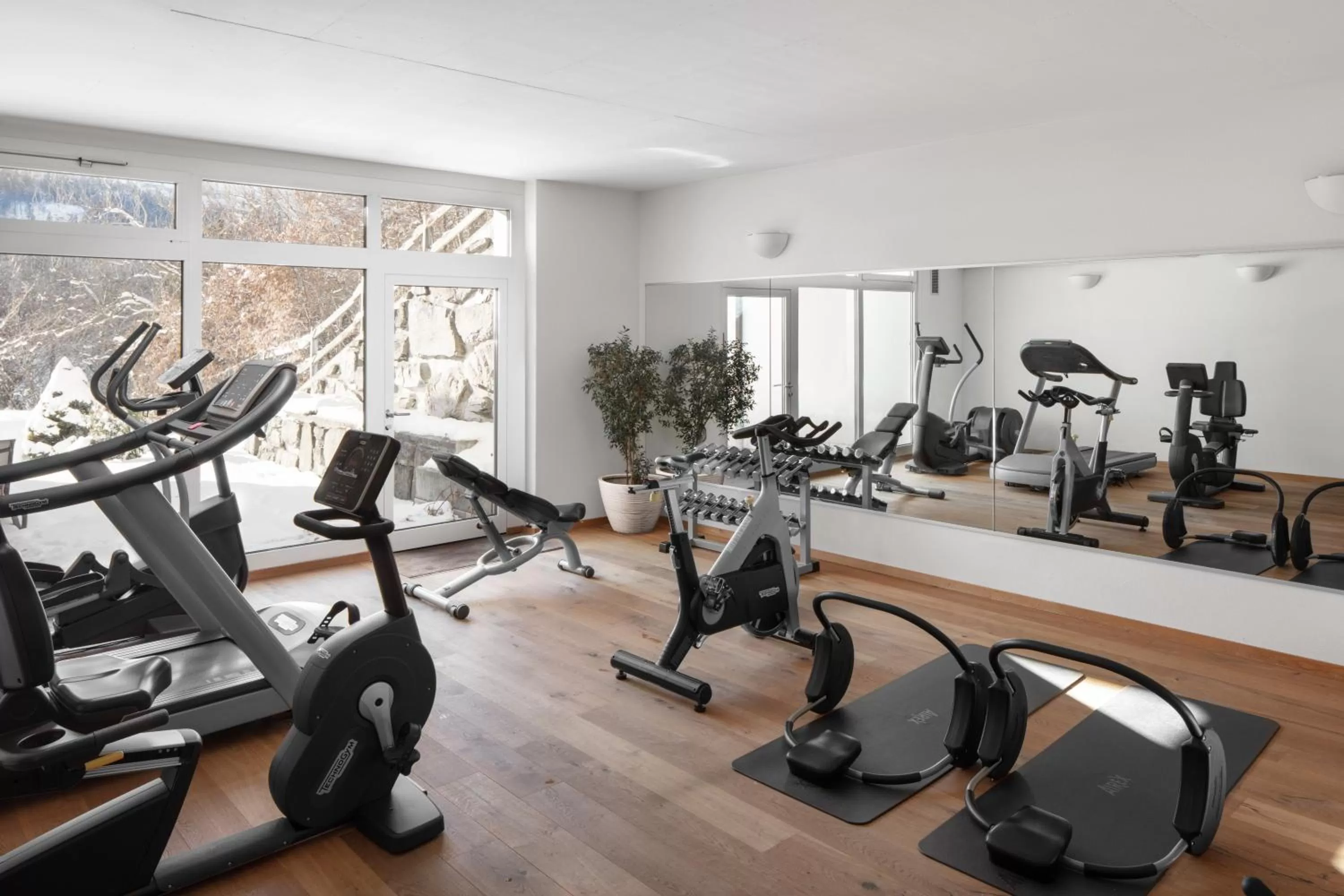 Fitness centre/facilities in Hotel Waldegg - Adults only