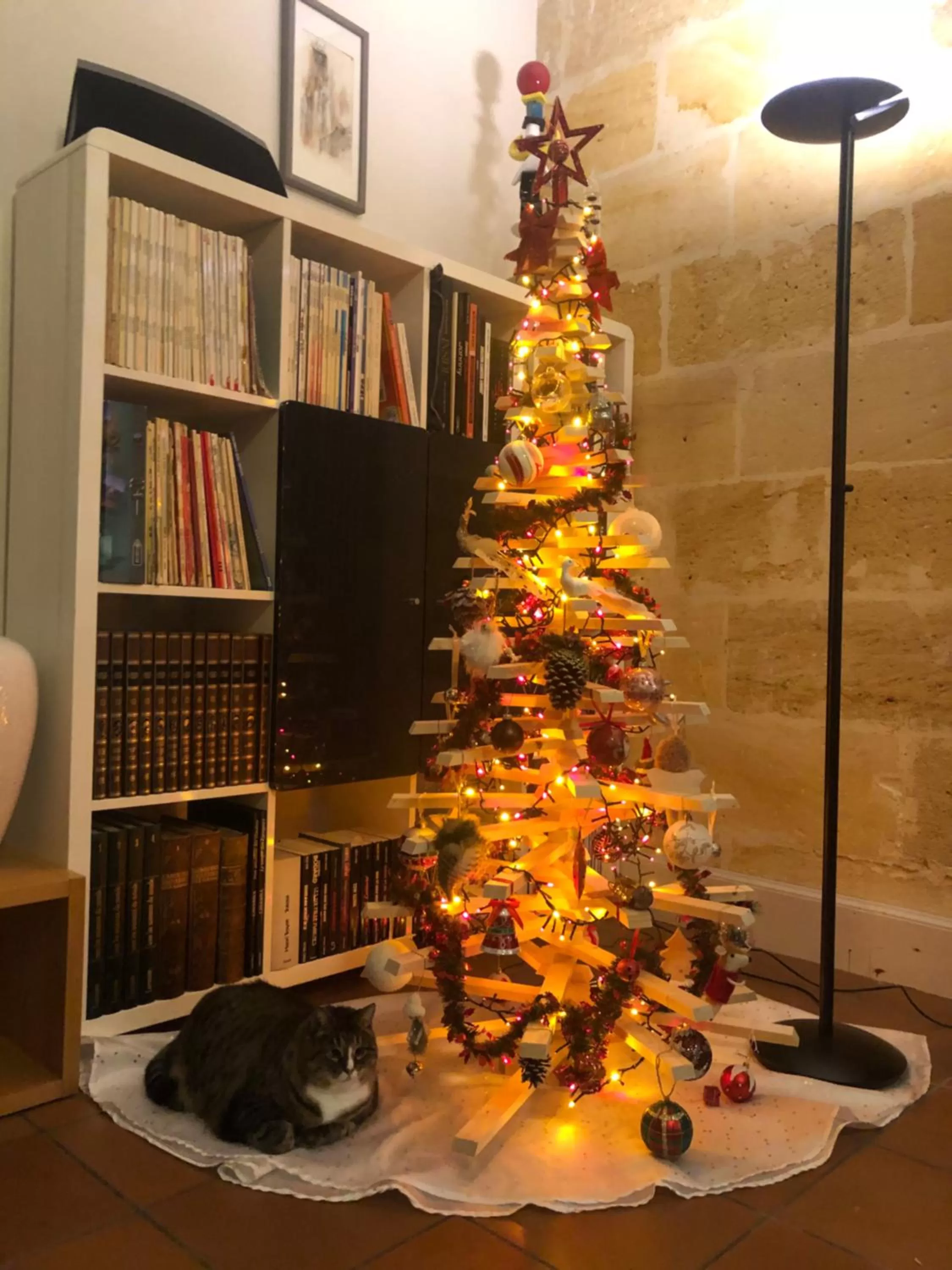 Library in Le Numéro 15