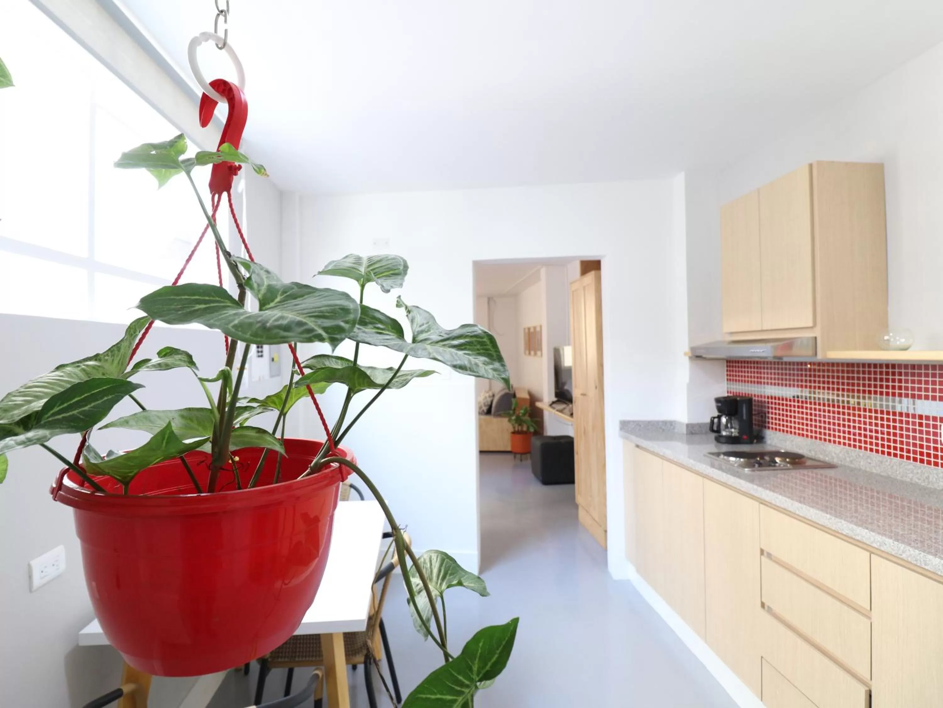 Kitchen/Kitchenette in 554 Apartments