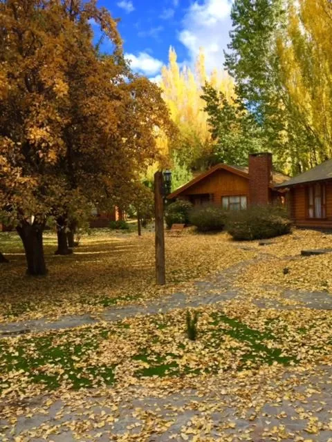 Garden view in Santa Monica Aparts