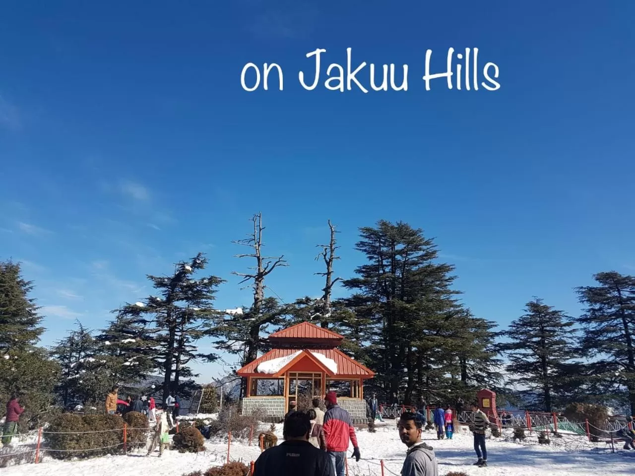 Day in Sai Cottage Shimla