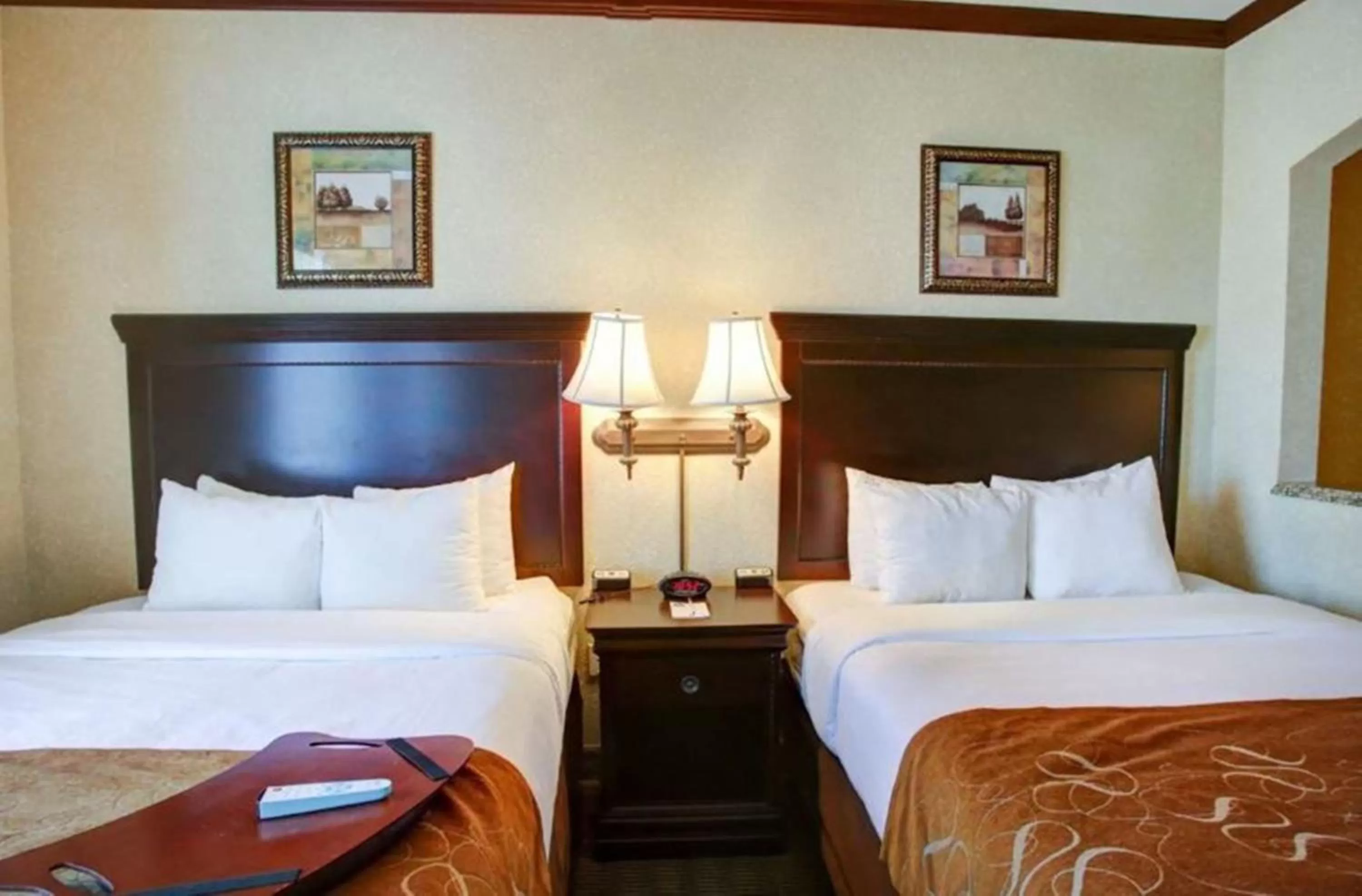 Bed in Comfort Suites University Drive