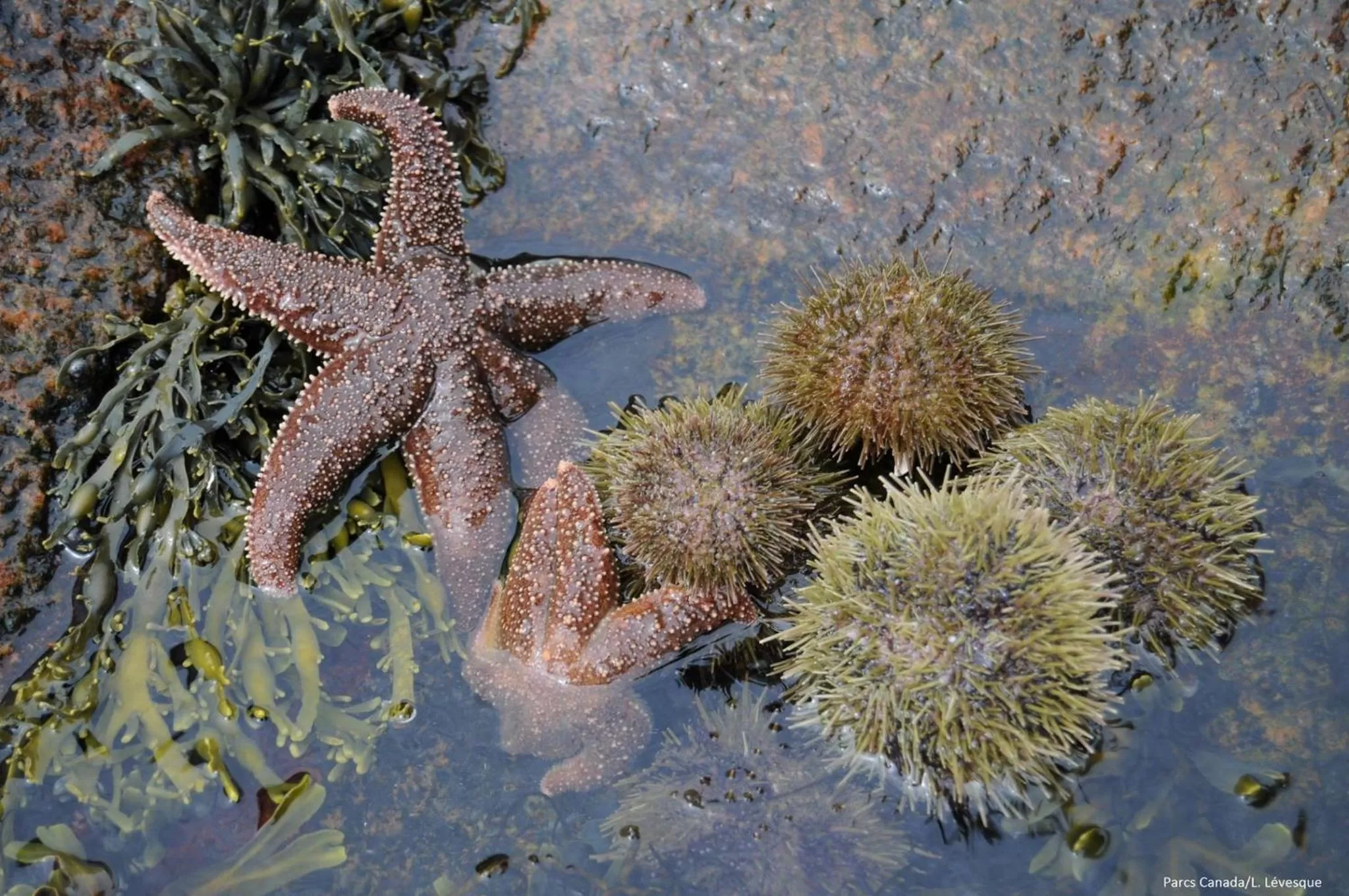 Nearby landmark in Complexe Hotelier Escoumins