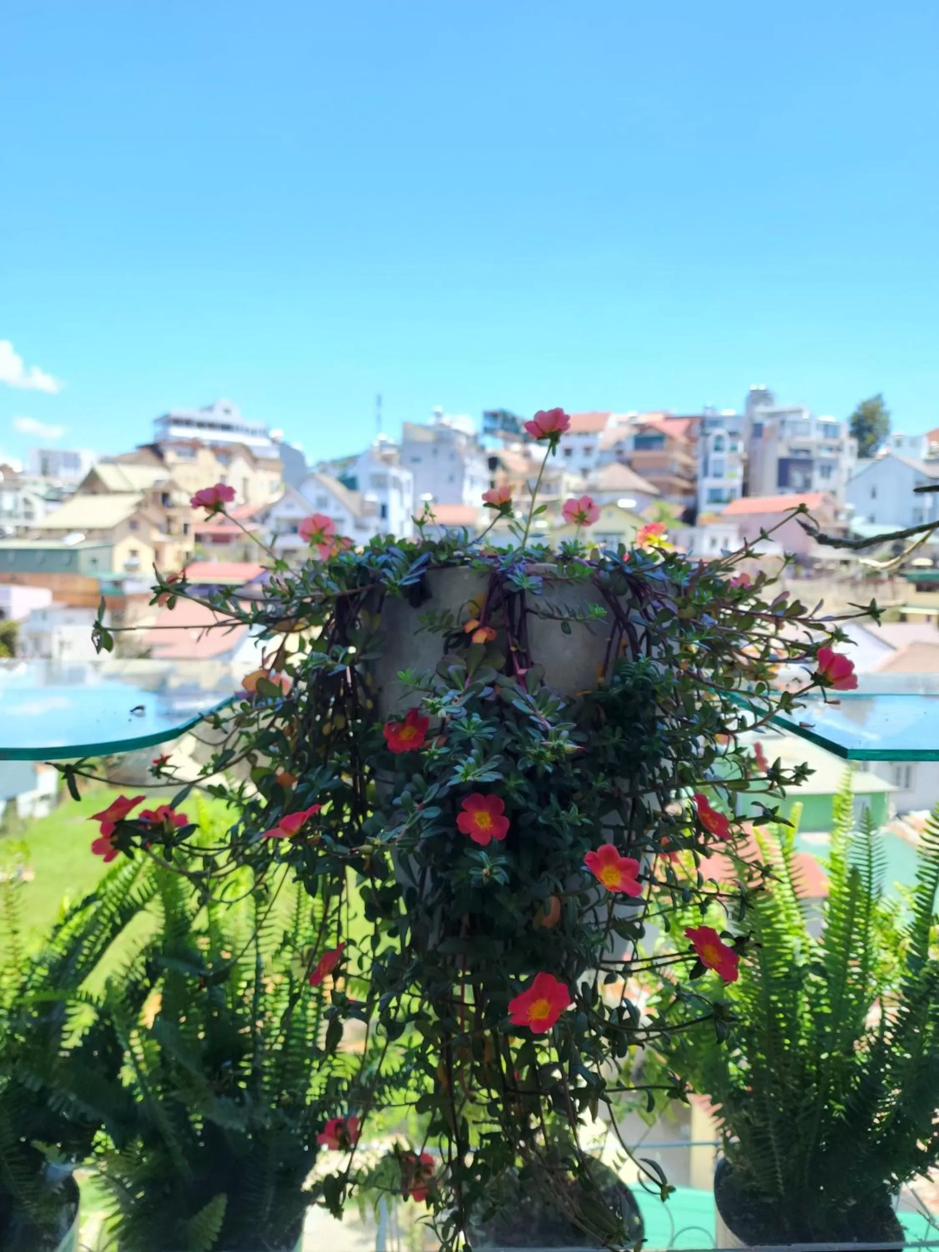 Natural landscape in Ngàn Phố Studio & Love Hotel