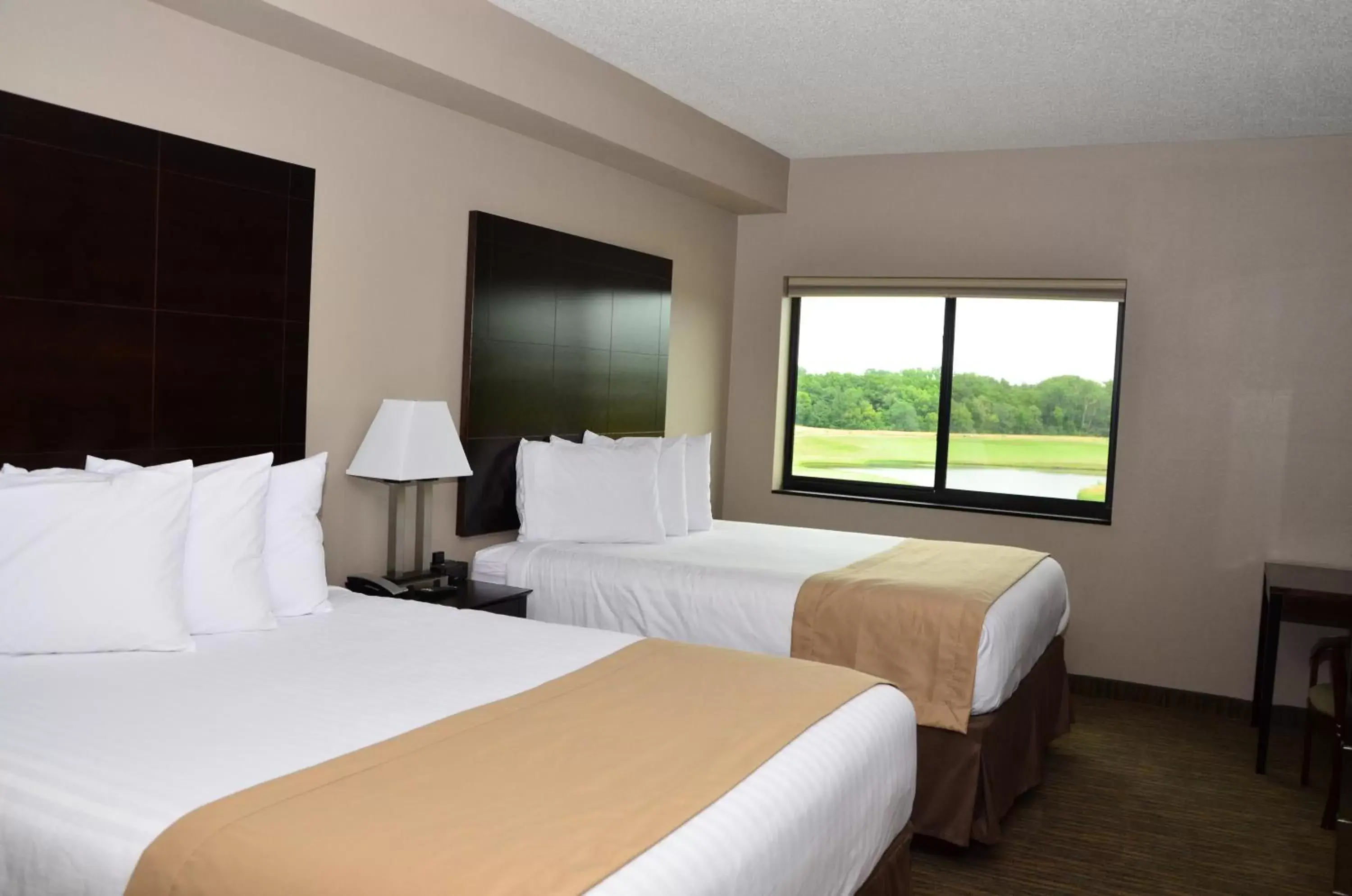 Superior Queen Room in Qube Hotel - Polk City Superior Queen Room in Qube Hotel - Polk City