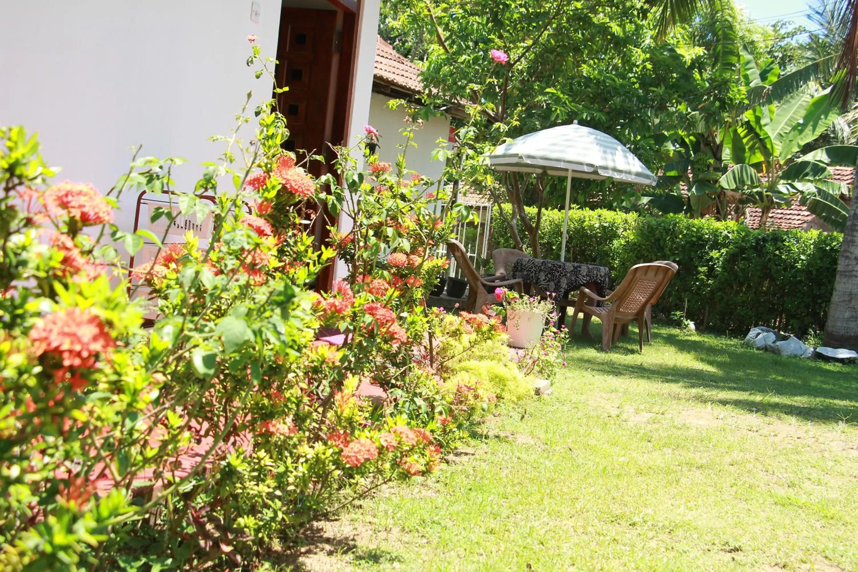 Seating area, Garden in Jumera Villa Mirissa