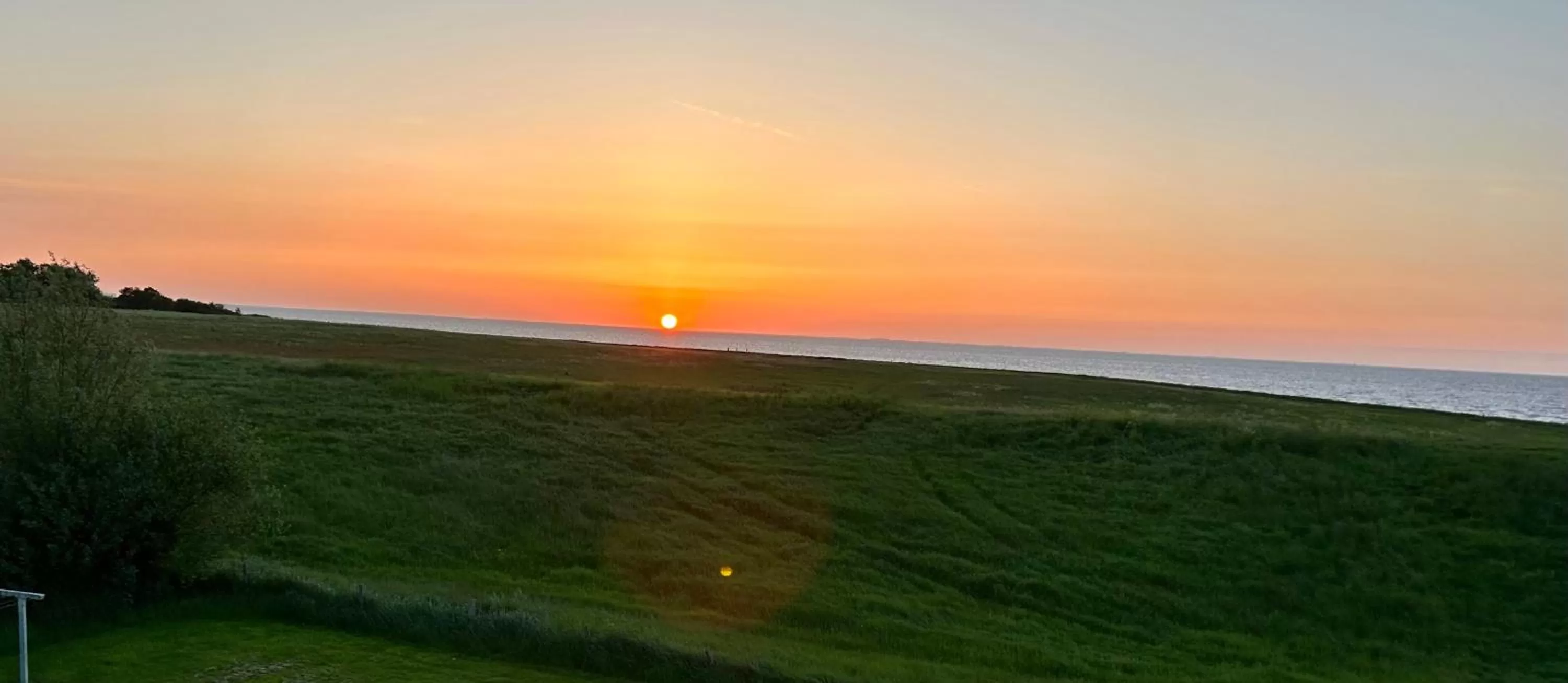 View (from property/room) in Villa Nieuwland B&B