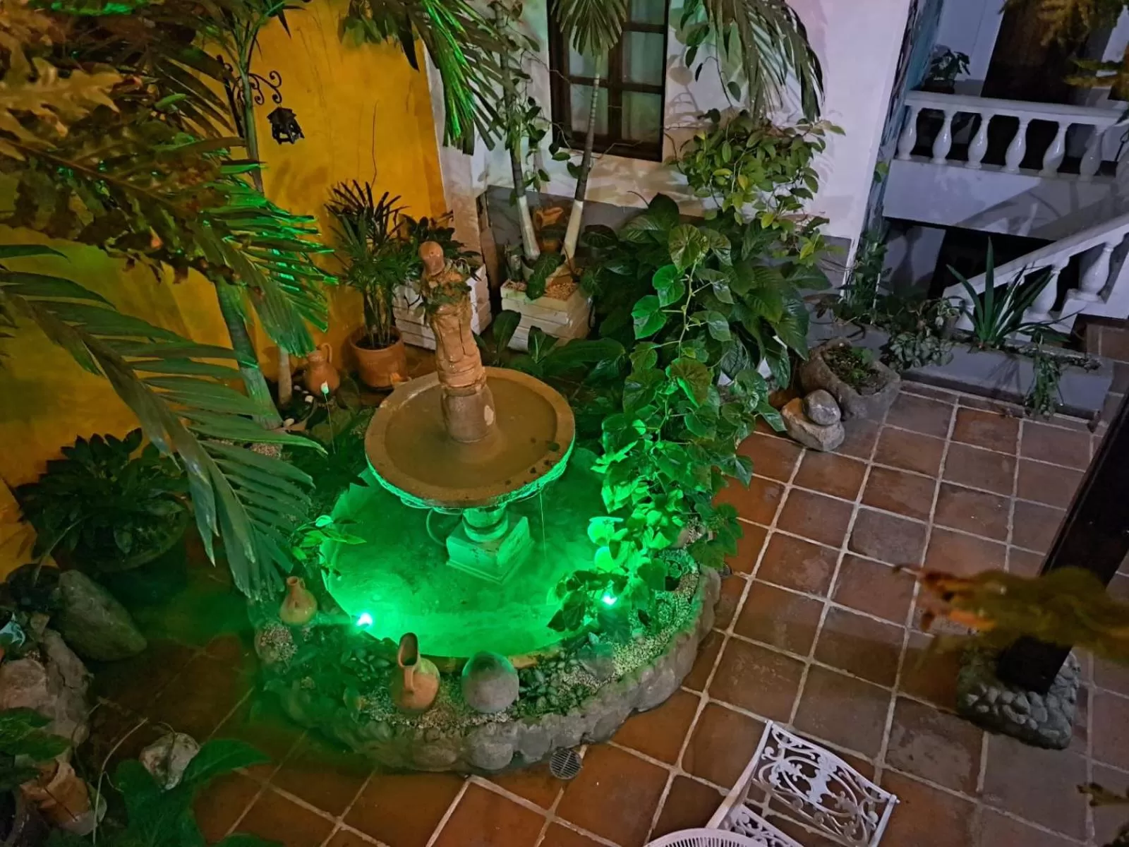 Garden in Hotel Terraza San Antonio