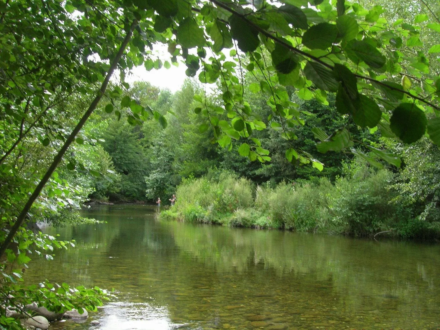 Other in Hotel Le Mas Trilles