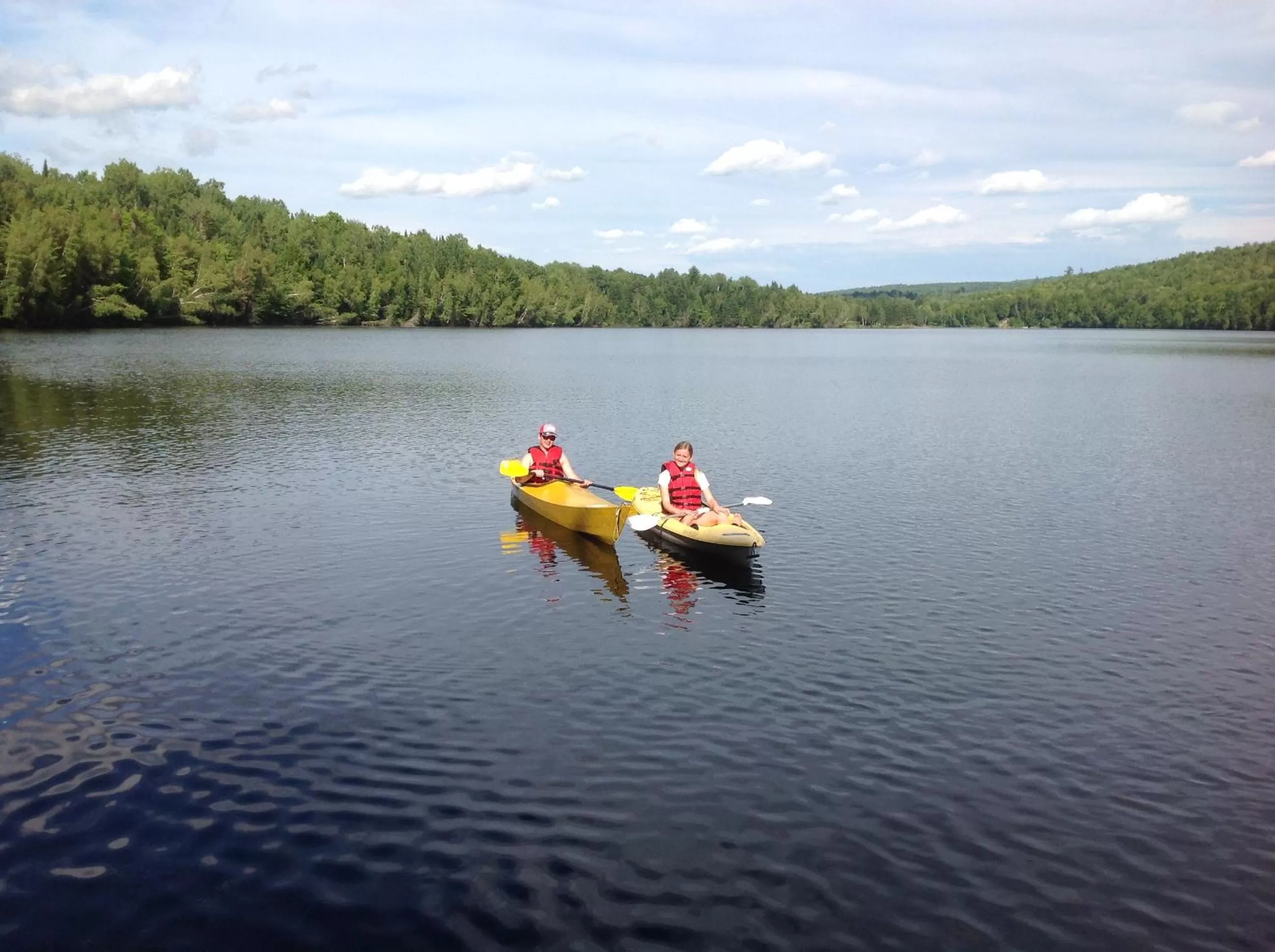 Area and facilities in Strong Timbers BnB