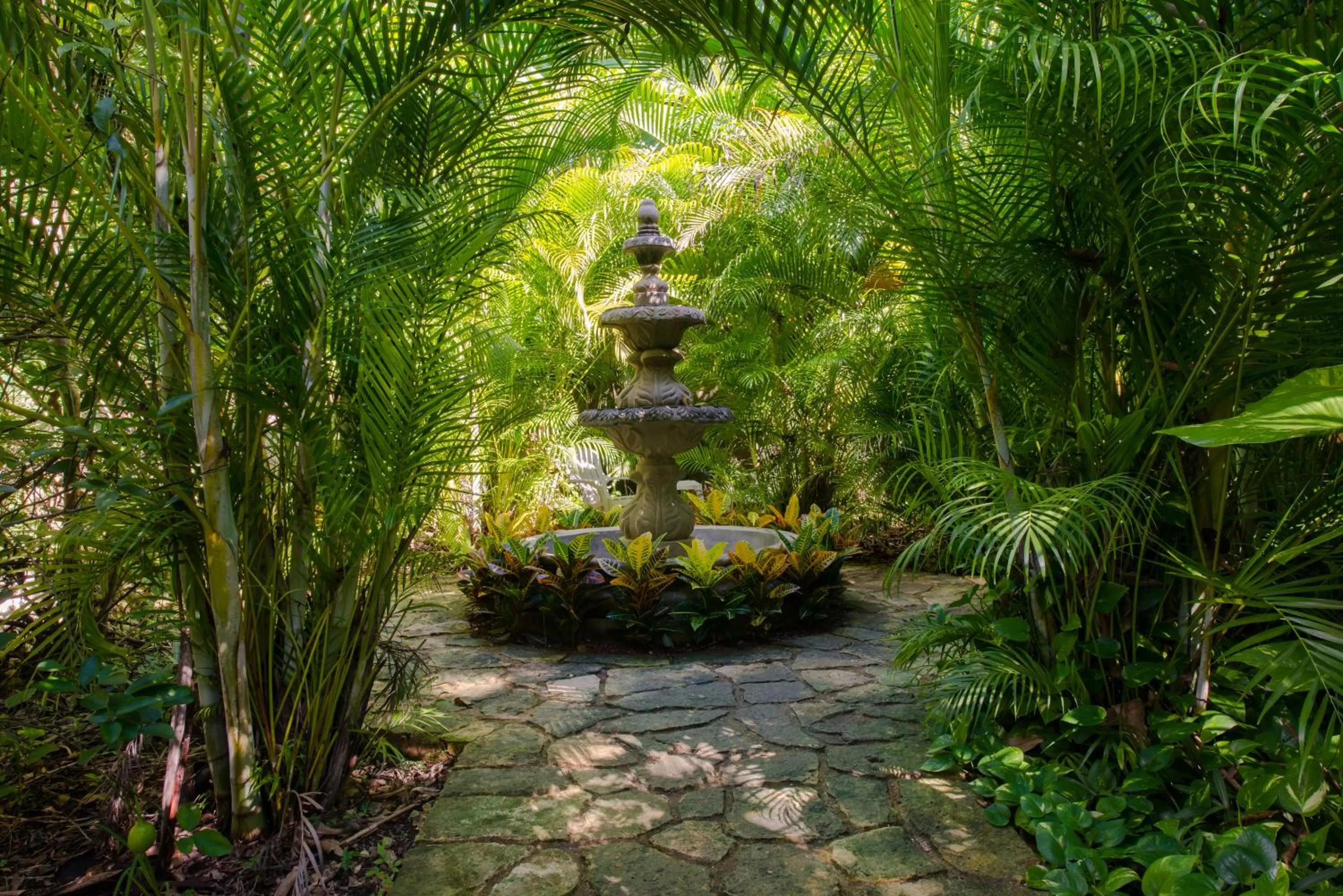 Natural landscape in La Hacienda, en Xcaret