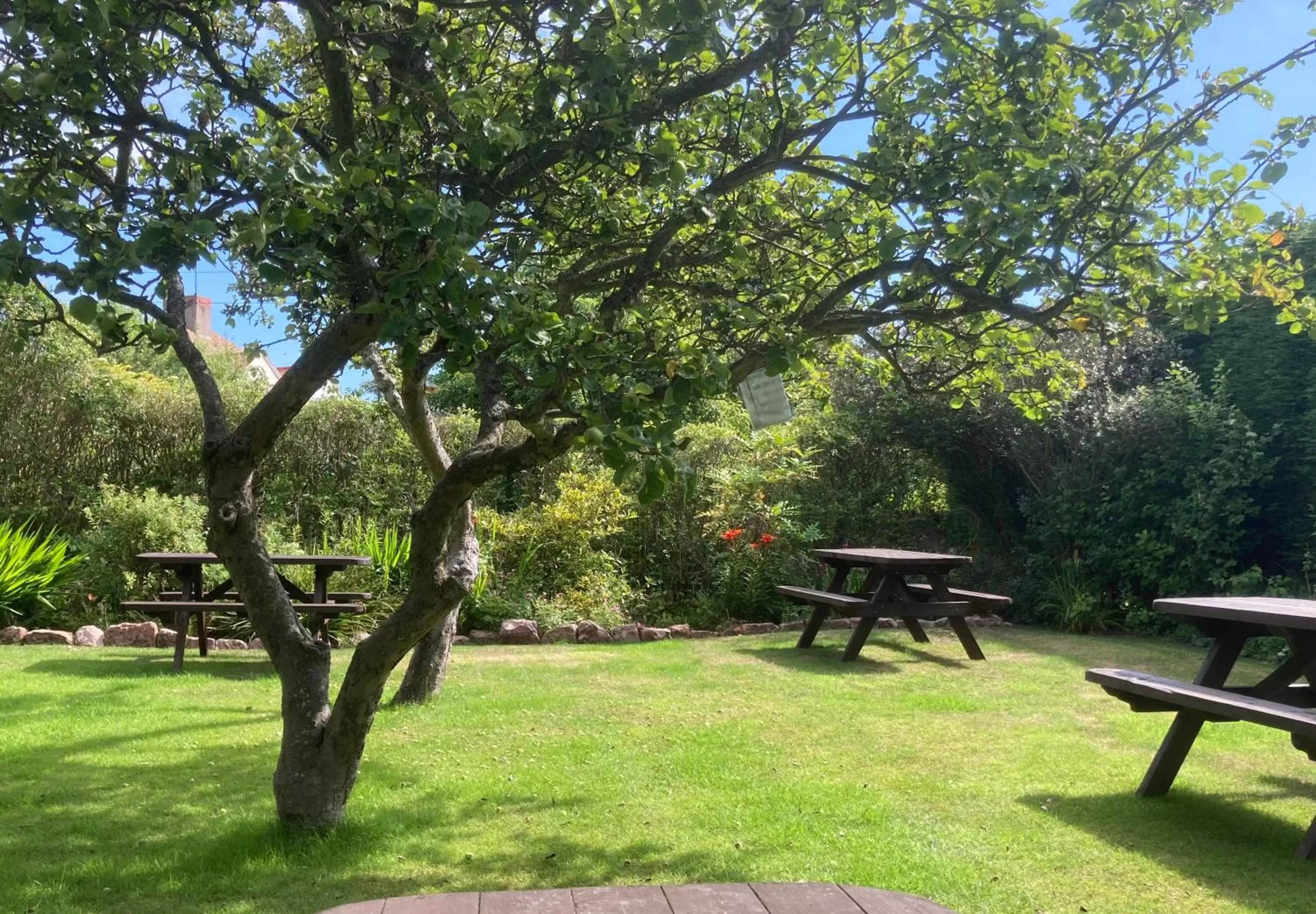 Garden in The Mallard Hotel