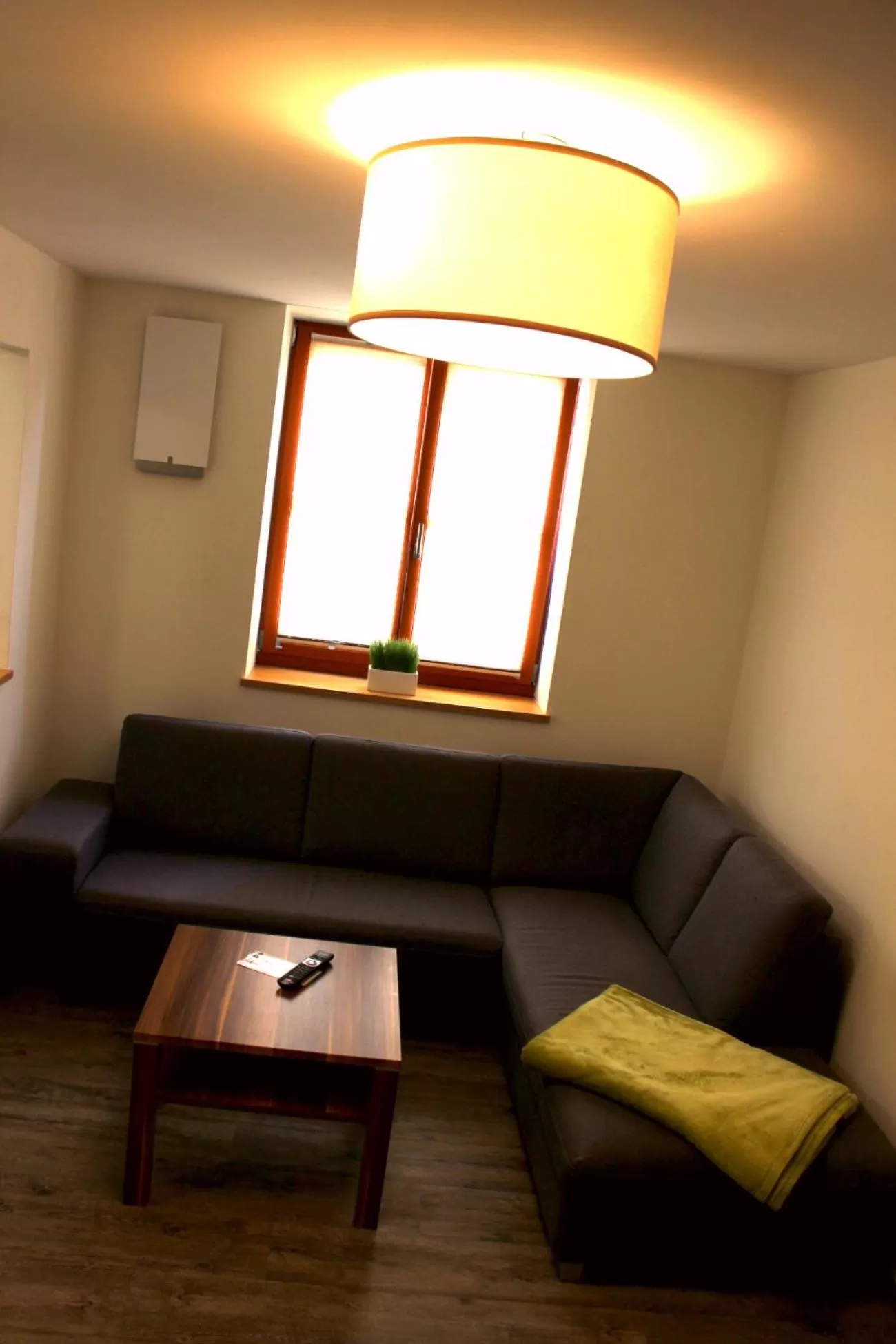 TV and multimedia in greenpartment Boardinghouse Neustadt