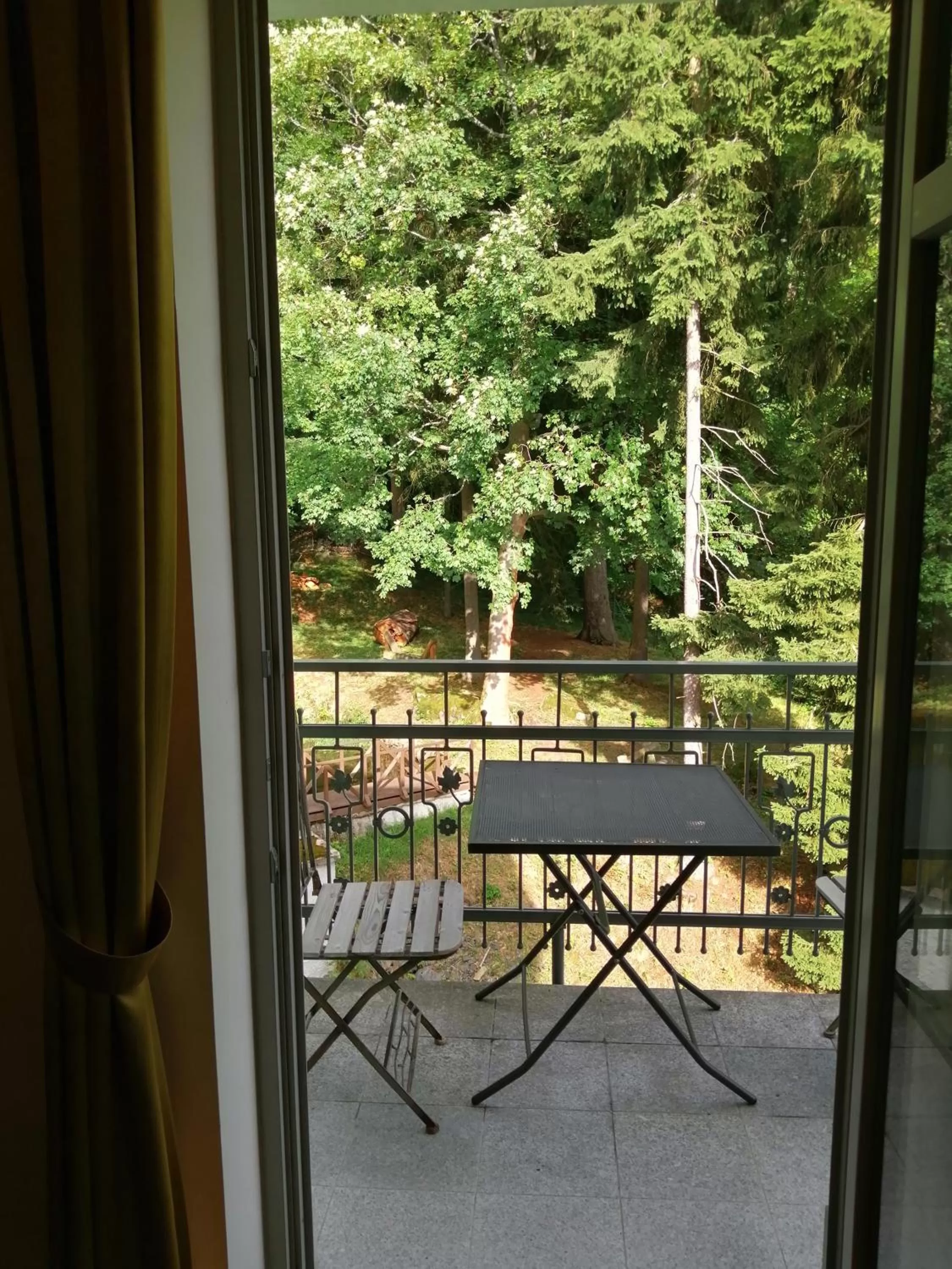 View (from property/room) in Parkhotel Forest