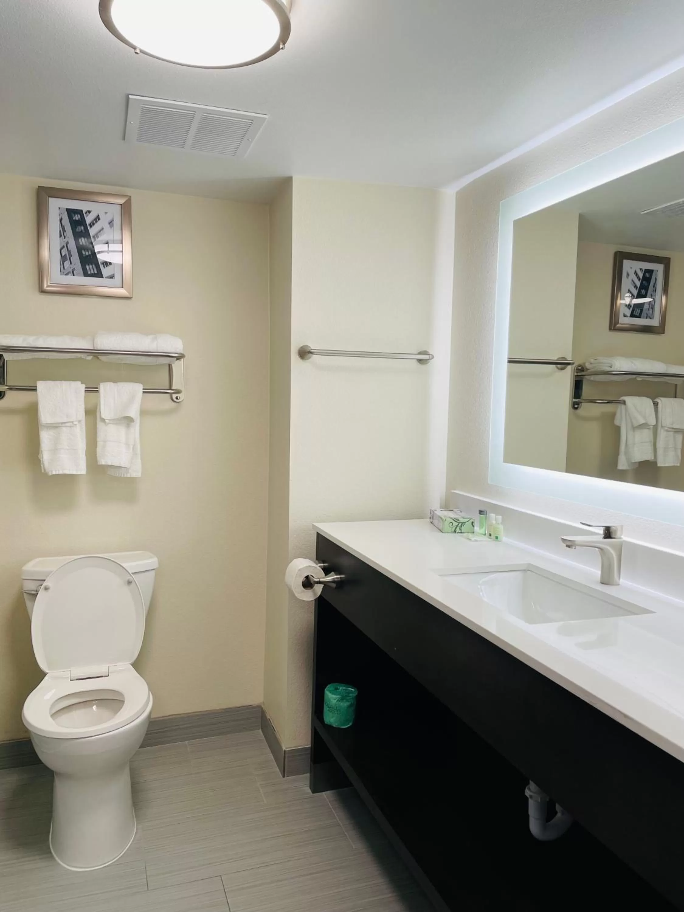 Bathroom in Quality Inn & Suites Lake Charles South