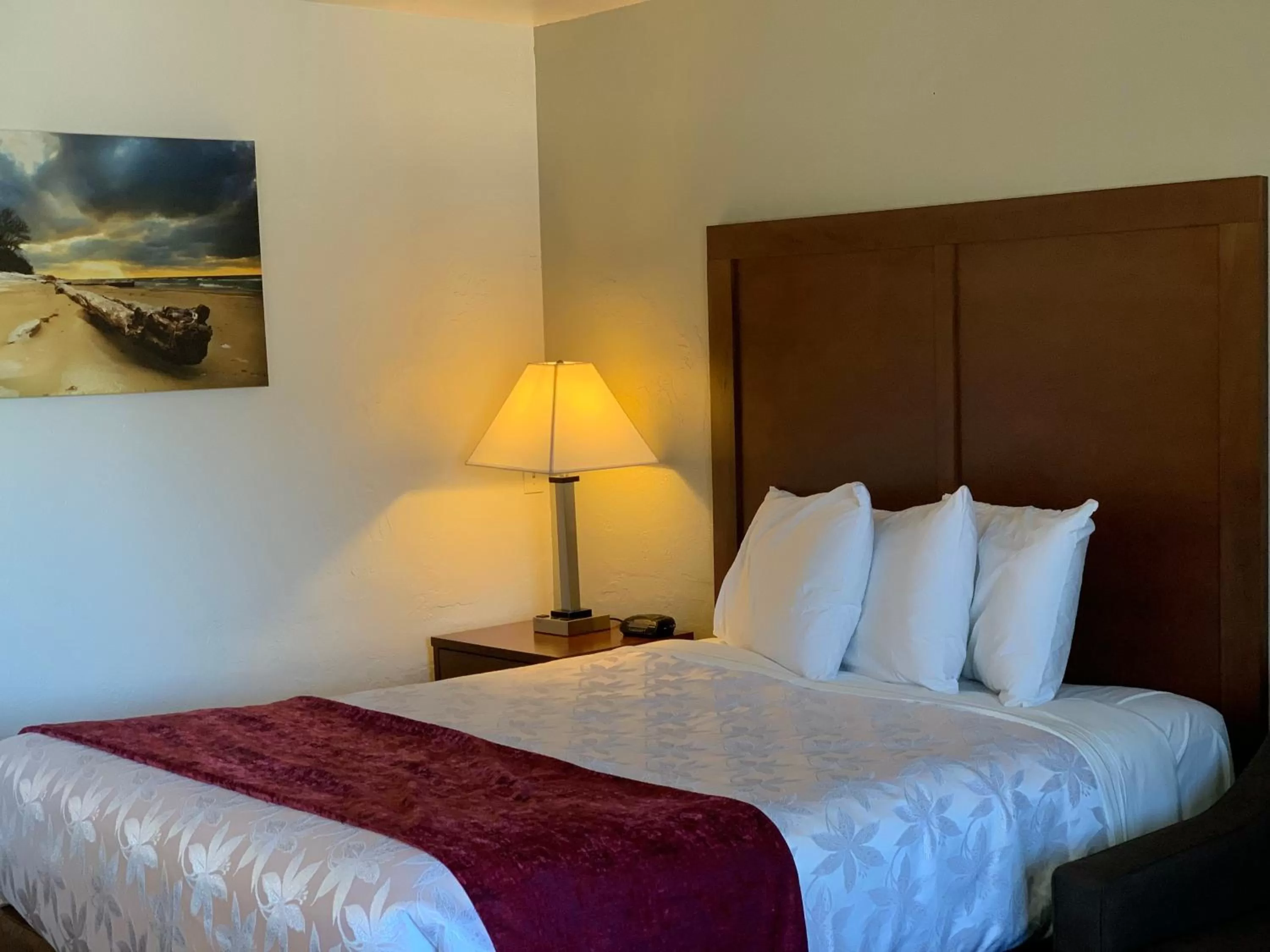 Bed in Red Carpet Inn Medford