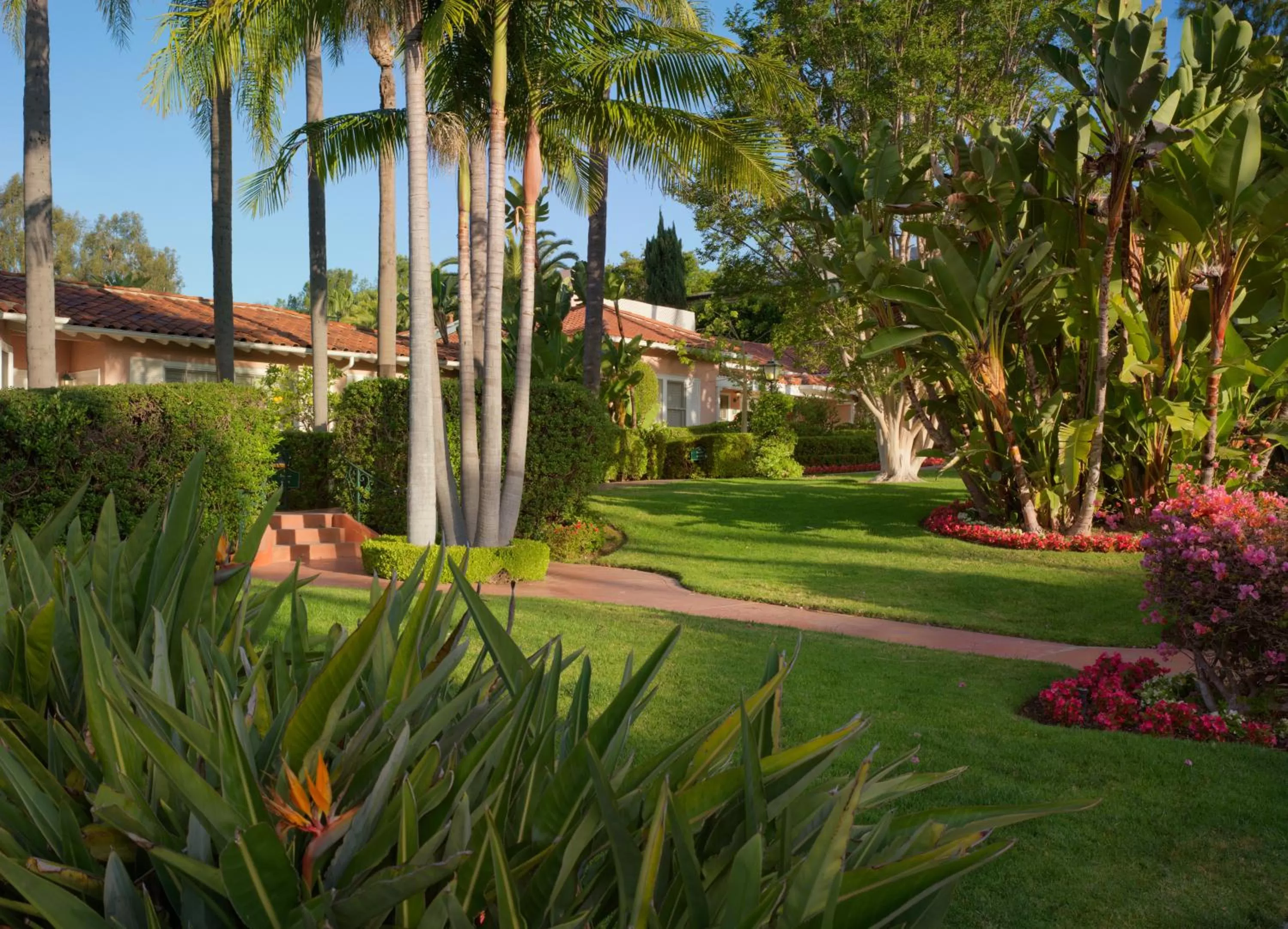 Garden in The Beverly Hills Hotel - Dorchester Collection