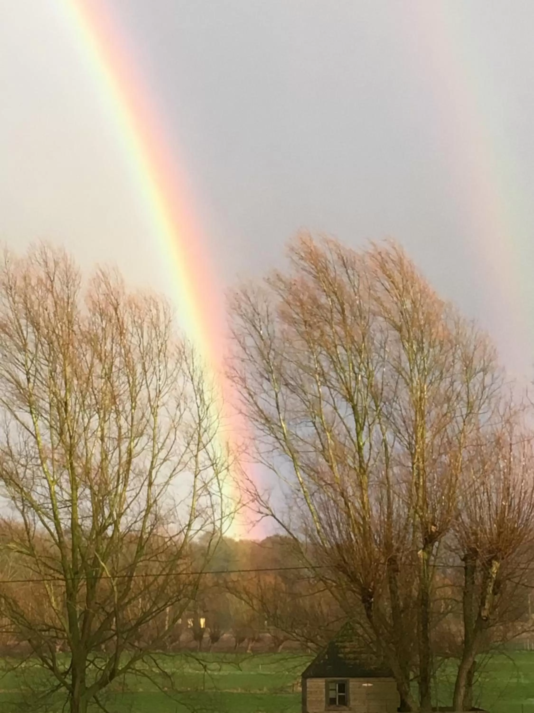 Natural landscape in B&B The View Bis