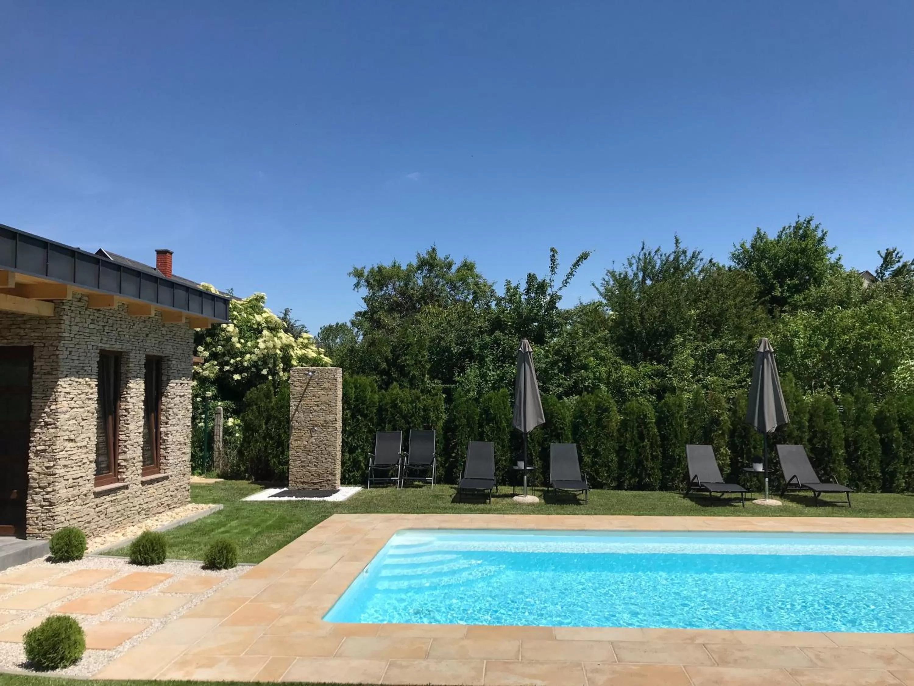 Swimming pool in Villa Aruba & Private SPA Suites