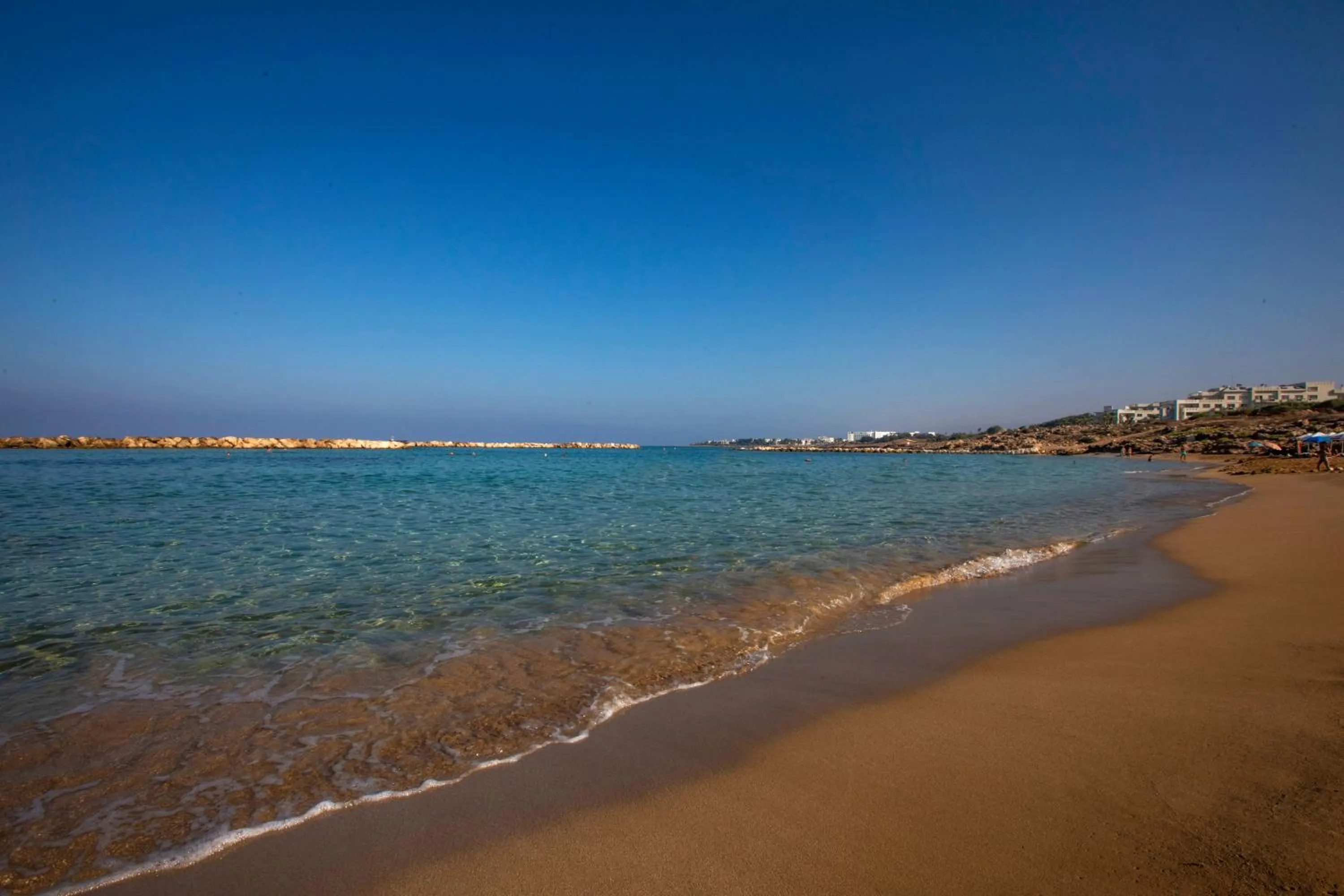 Natural landscape in Venus Beach Hotel